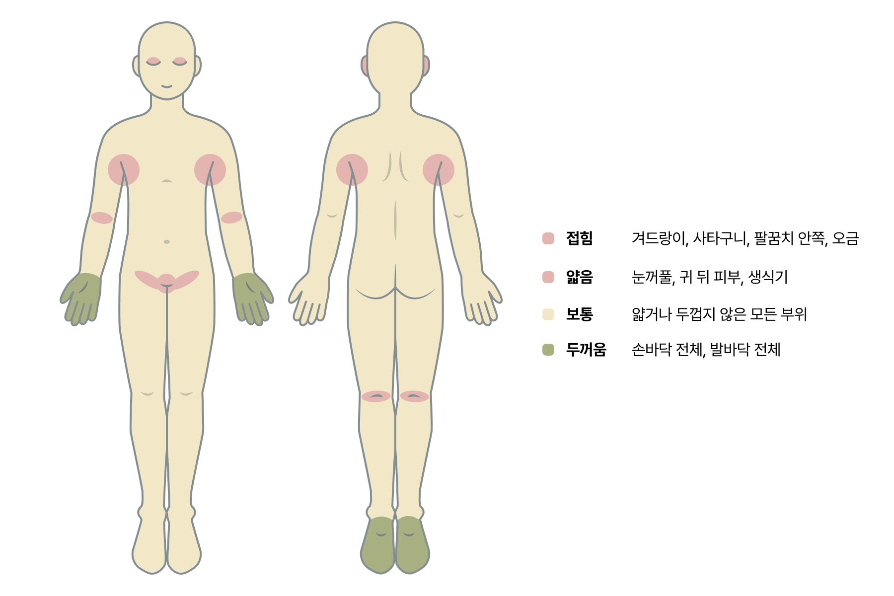 스테로이드 연고 등급 완벽 정리 | 2026년 버전