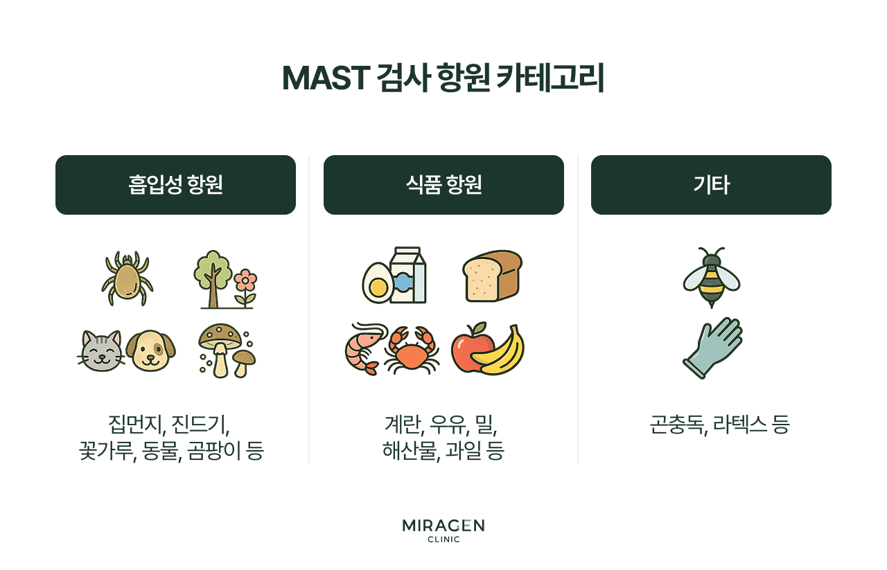 알레르기 검사 결과를 통해 확인할 수 있는 항원들 — 흡인성 · 식품 항원 카테고리별 분류 인포그래픽