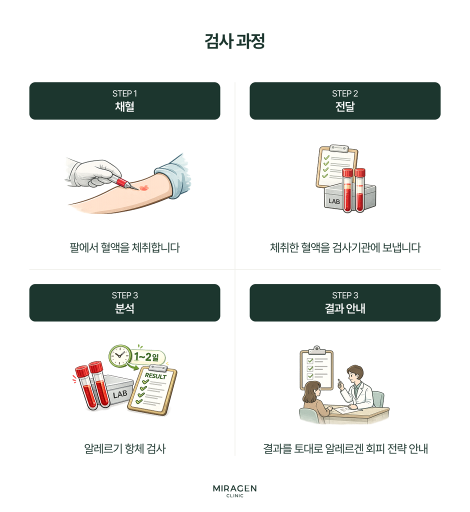 MAST 알레르기 검사 과정 — 채혈부터 결과 상담까지 4단계 인포그래픽