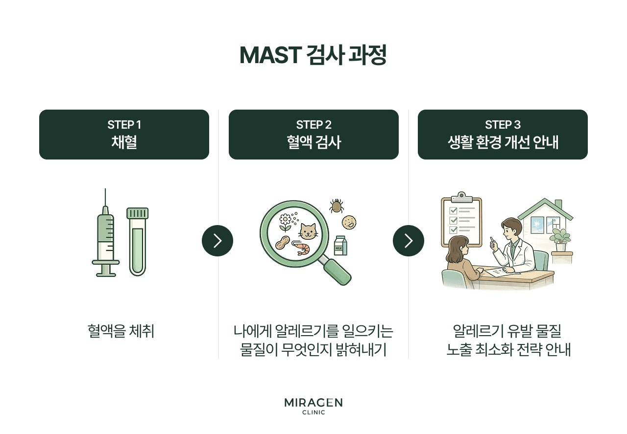 MAST 알레르기 검사를 시행하는 이유 — 알레르겐 노출과 IgE 반응 원리 인포그래픽