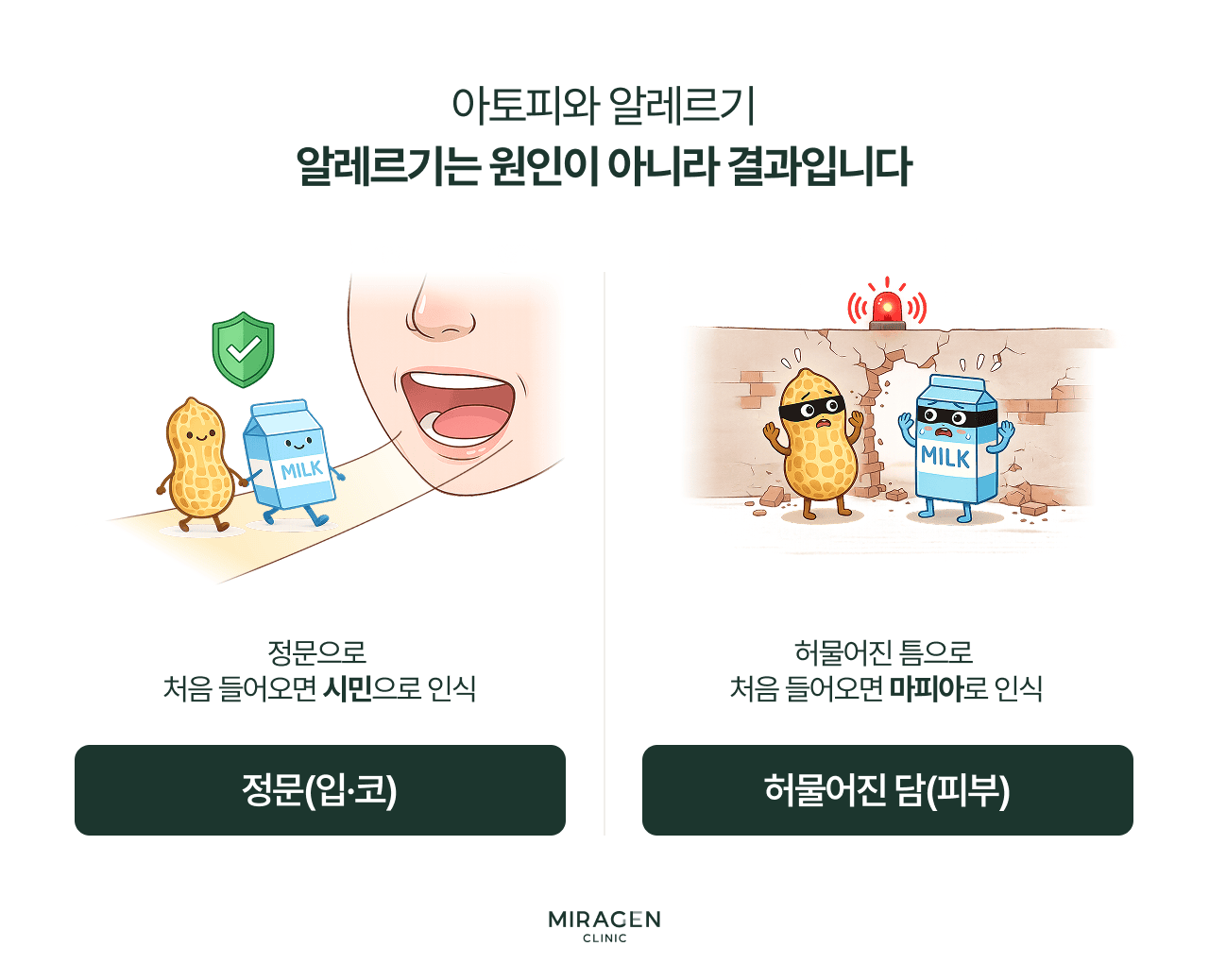 알레르기 원인과 결과 아토피와 알레르기 관계를 시민 · 마피아 비유로 설명하는 인포그래픽으로, 입으로 들어온 음식은 시민으로 인식하고 허물어진 피부 장벽 틈으로 들어오면 마피아로 인식하는 면역 원리를 시각화