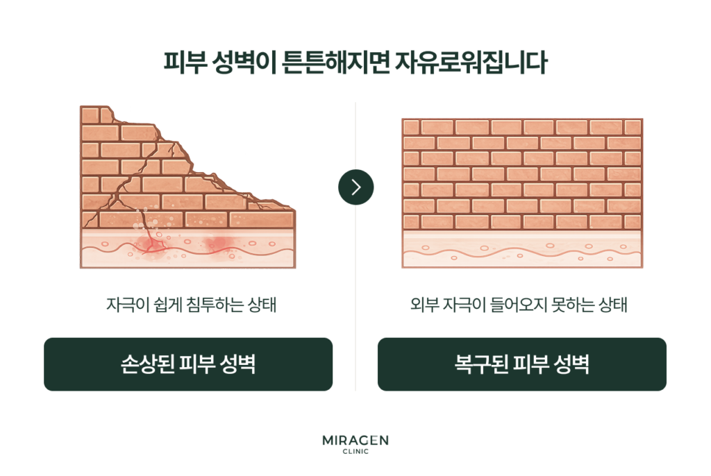손상된 피부 장벽과 회복된 피부 장벽을 벽돌담으로 좌우 비교한 일러스트로, 균열 투성이 벽에서 튼튼한 벽으로의 변화를 통해 지루성피부염 치료의 궁극적 목표인 피부 성벽 재건을 시각화