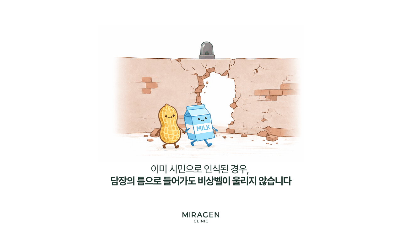 내인성 알레르기 없는 원리 이미 시민으로 인식된 우유 · 땅콩이 허물어진 피부 장벽 틈으로 들어와도 면역 경보가 울리지 않는 장면으로, 알레르기를 동반하지 않는 내인성 아토피의 발생 원리를 비유적으로 설명