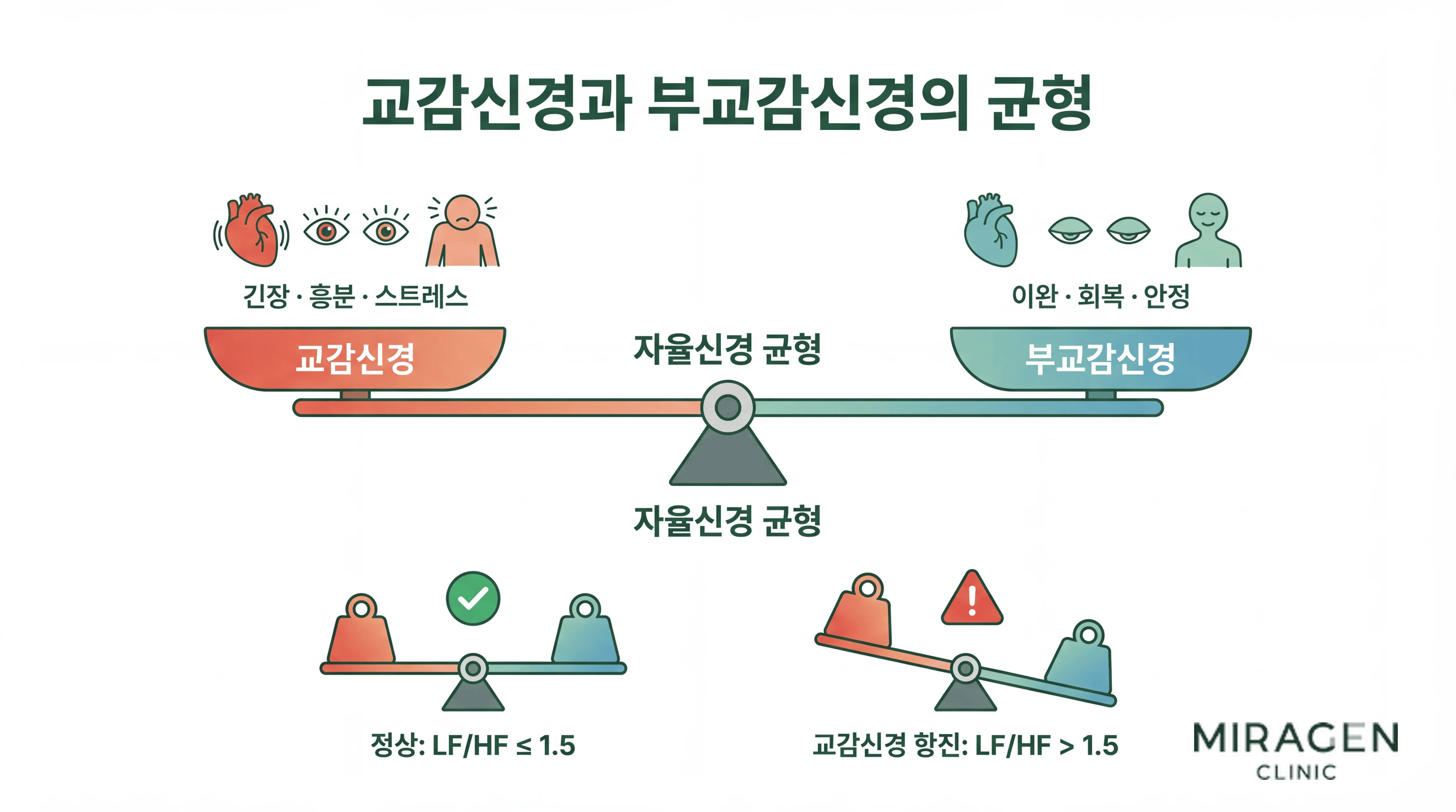 자율신경계 교감-부교감 균형 자율신경계 균형을 시소로 비유한 일러스트. 교감신경과 부교감신경이 균형을 이룬 정상 상태와 교감신경이 항진된 상태를 LF/HF 비율로 비교하여 도식화