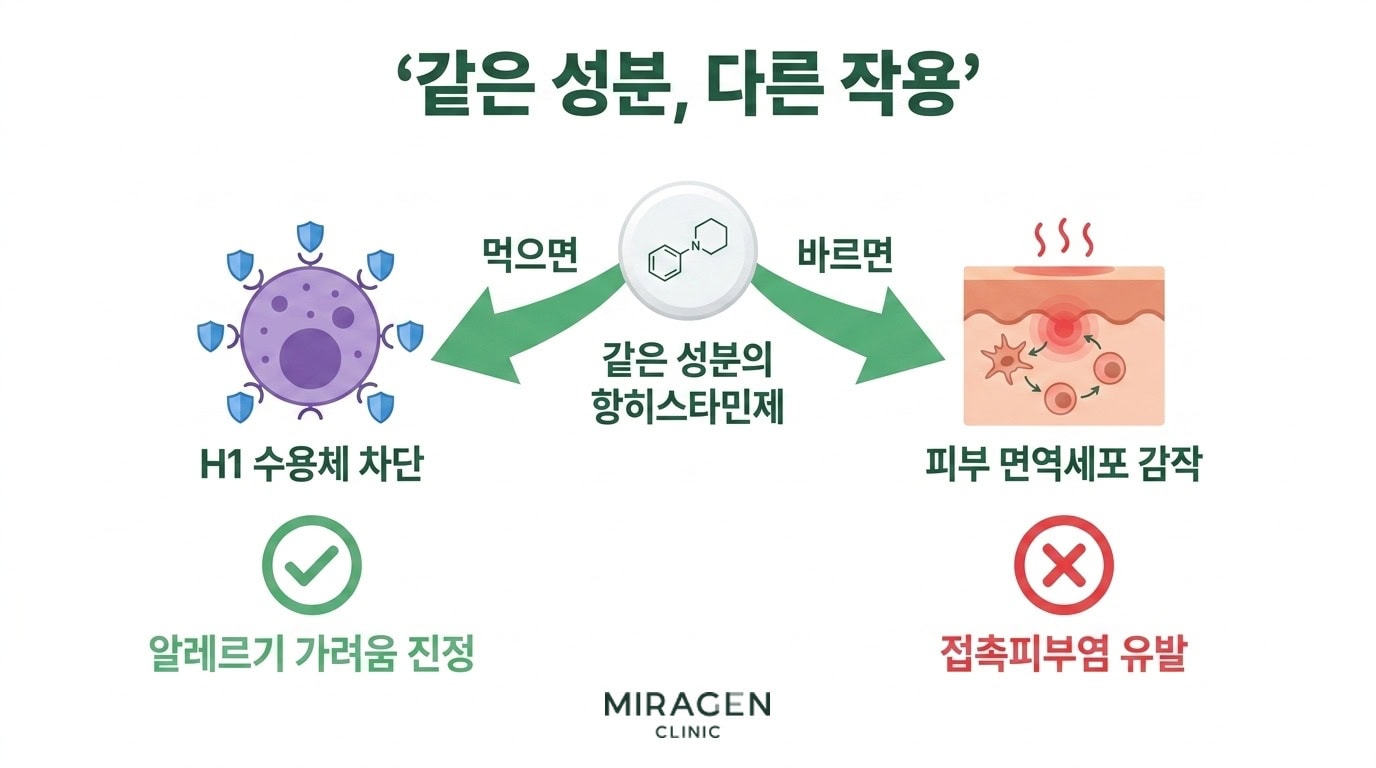 같은 성분, 다른 작용 — 먹으면 가라앉고 바르면 유발되는 역설 가운데 같은 성분의 항히스타민제 정제 아이콘에서 좌우로 화살표가 갈라지는 일러스트. 왼쪽은 먹으면 화살표를 따라 비만세포 H1 수용체 차단 아이콘과 초록 체크가 나오며 알레르기 가려움 진정으로 이어지고, 오른쪽은 바르면 화살표를 따라 피부 면역세포 감작 아이콘과 빨간 X가 나오며 접촉피부염 유발로 이어지는 역설 구조를 한 장으로 보여줌