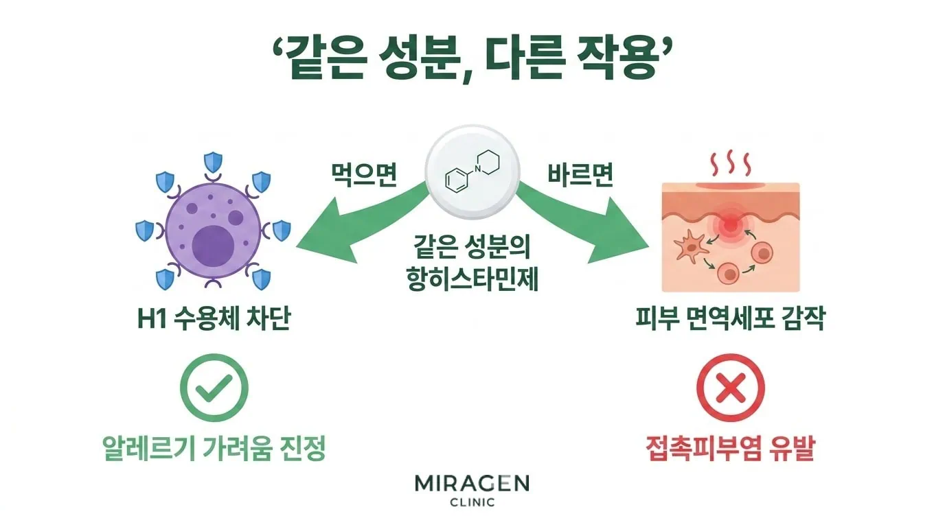 같은 성분, 다른 작용 — 먹으면 가라앉고 바르면 유발되는 역설 가운데 같은 성분의 항히스타민제 정제 아이콘에서 좌우로 화살표가 갈라지는 일러스트. 왼쪽은 먹으면 화살표를 따라 비만세포 H1 수용체 차단 아이콘과 초록 체크가 나오며 알레르기 가려움 진정으로 이어지고, 오른쪽은 바르면 화살표를 따라 피부 면역세포 감작 아이콘과 빨간 X가 나오며 접촉피부염 유발로 이어지는 역설 구조를 한 장으로 보여줌