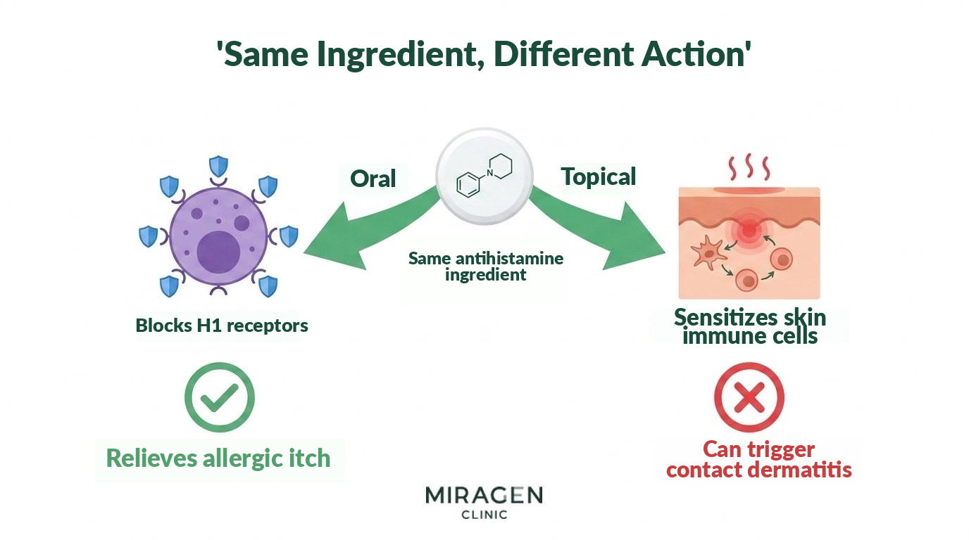 Same Ingredient, Different Action—The Paradox of Calming When Ingested and Triggering When Applied Illustration with an antihistamine tablet icon in the center and arrows branching left and right. On the left, ingestion leads via an arrow to a mast cell H1 receptor blockade icon with a green checkmark, resulting in allergy itch relief. On the right, topical application leads via an arrow to a skin immune cell sensitization icon with a red X, resulting in contact dermatitis induction. This single image shows the paradoxical structure.