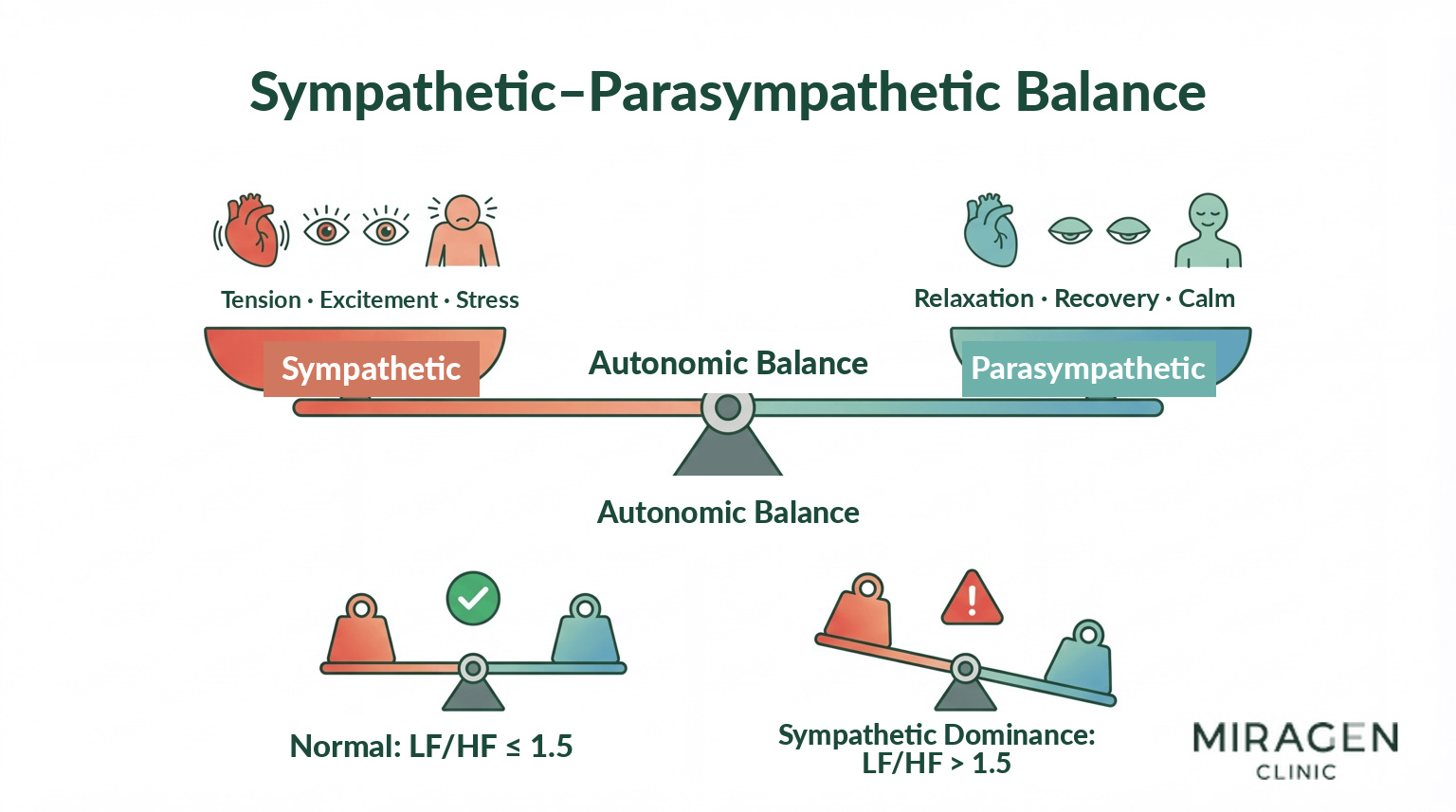 Autonomic Nervous System Sympathetic-Parasympathetic Balance Illustration comparing autonomic nervous system balance using a seesaw metaphor. Depicts a normal state with balanced sympathetic and parasympathetic nervous systems versus a state with sympathetic overactivity, compared using LF/HF ratio.