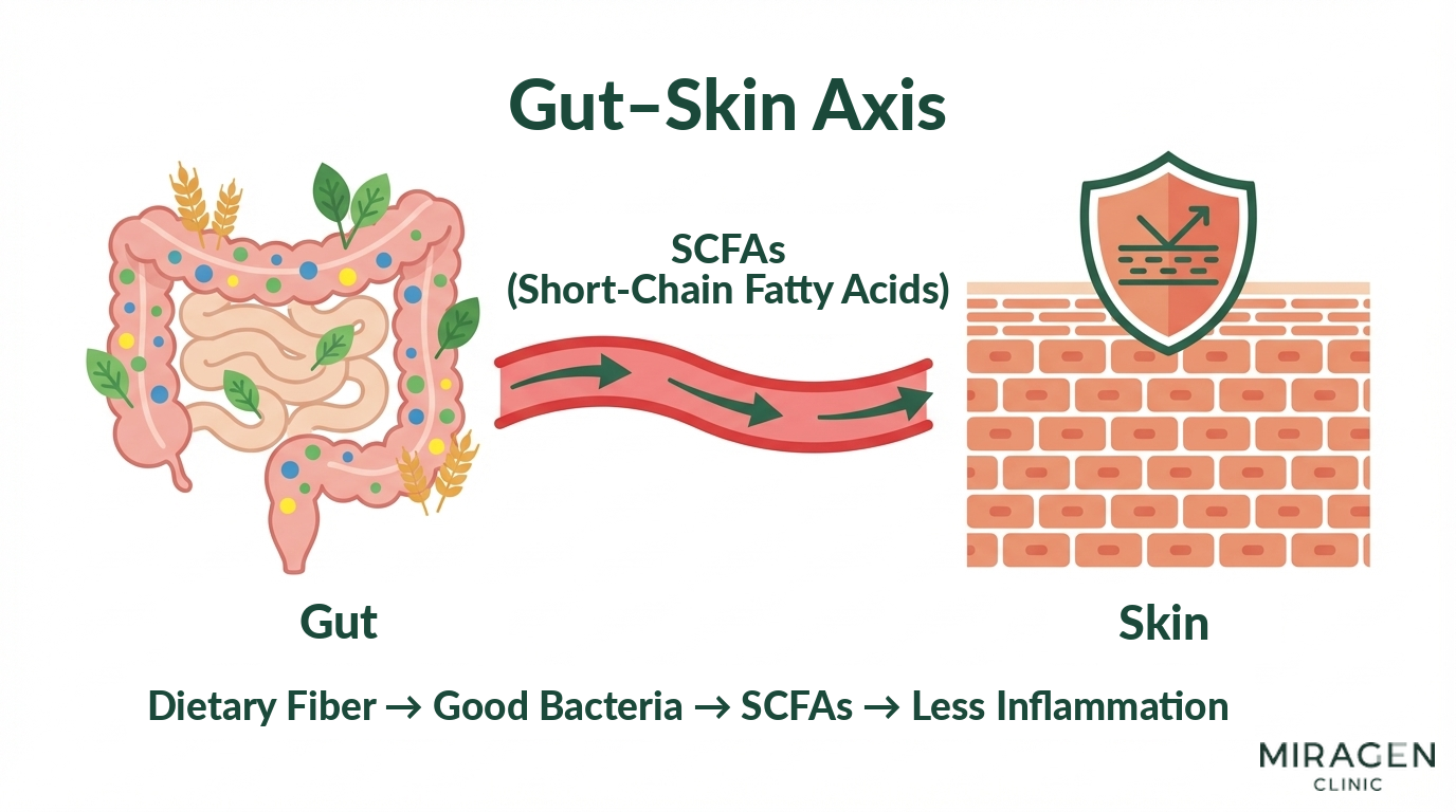 Gut-skin axis mechanism infographic An infographic showing the step-by-step gut-skin axis mechanism where probiotics and dietary fiber produce short-chain fatty acids through gut microbes, which suppress systemic inflammation and strengthen the skin barrier.