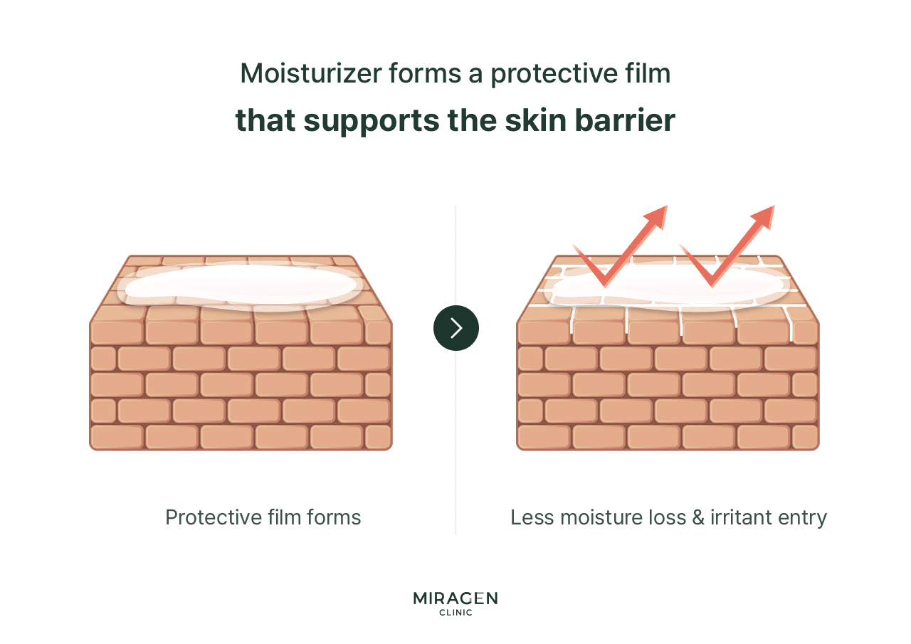 Difference in Moisturizer Action on Normal vs. Damaged Skin Illustration explaining the principle by which moisturizers form a protective barrier over damaged skin to reduce moisture evaporation and block external irritant penetration, shown through a brick wall cross-section before-and-after diagram