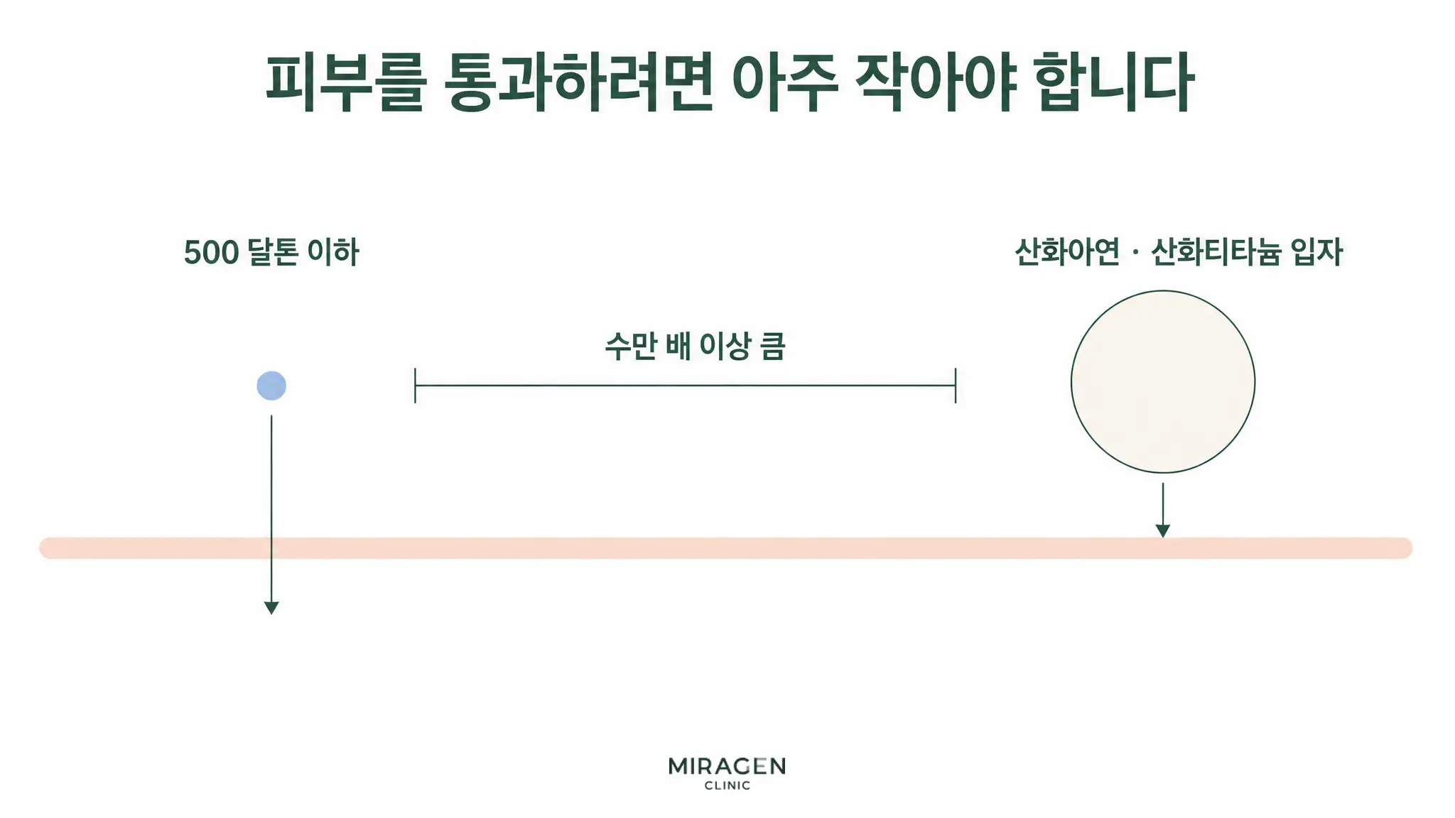 無機系日焼け止め・有機系日焼け止めの違いのうち皮膚通過の可能性を説明するため、500ダルトン以下の成分と大きな金属酸化物粒子を比較した模式図