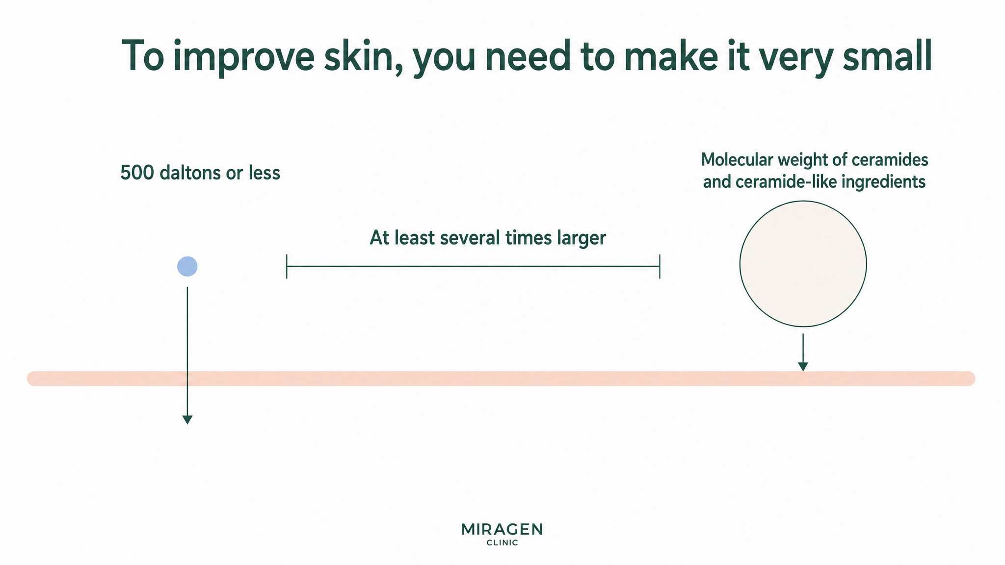 A diagram comparing ingredients under 500 Daltons with large metal oxide particles to explain the possibility of skin penetration between physical and chemical sunscreens.