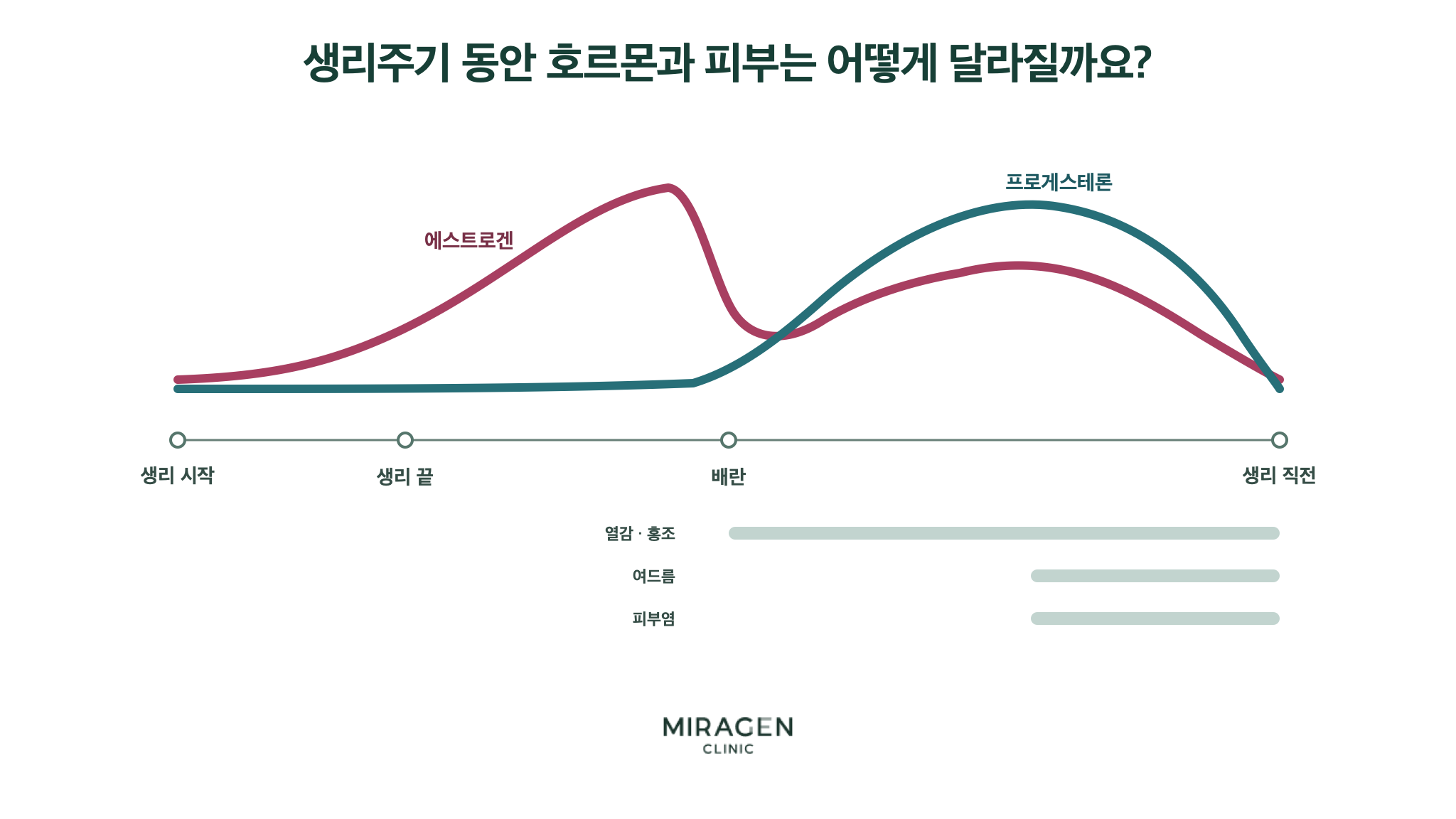 생리 시작부터 생리 끝, 배란, 생리 직전까지 에스트로겐과 프로게스테론의 변화 및 열감 · 홍조, 여드름, 피부염이 심해질 수 있는 시기를 보여주는 그래프