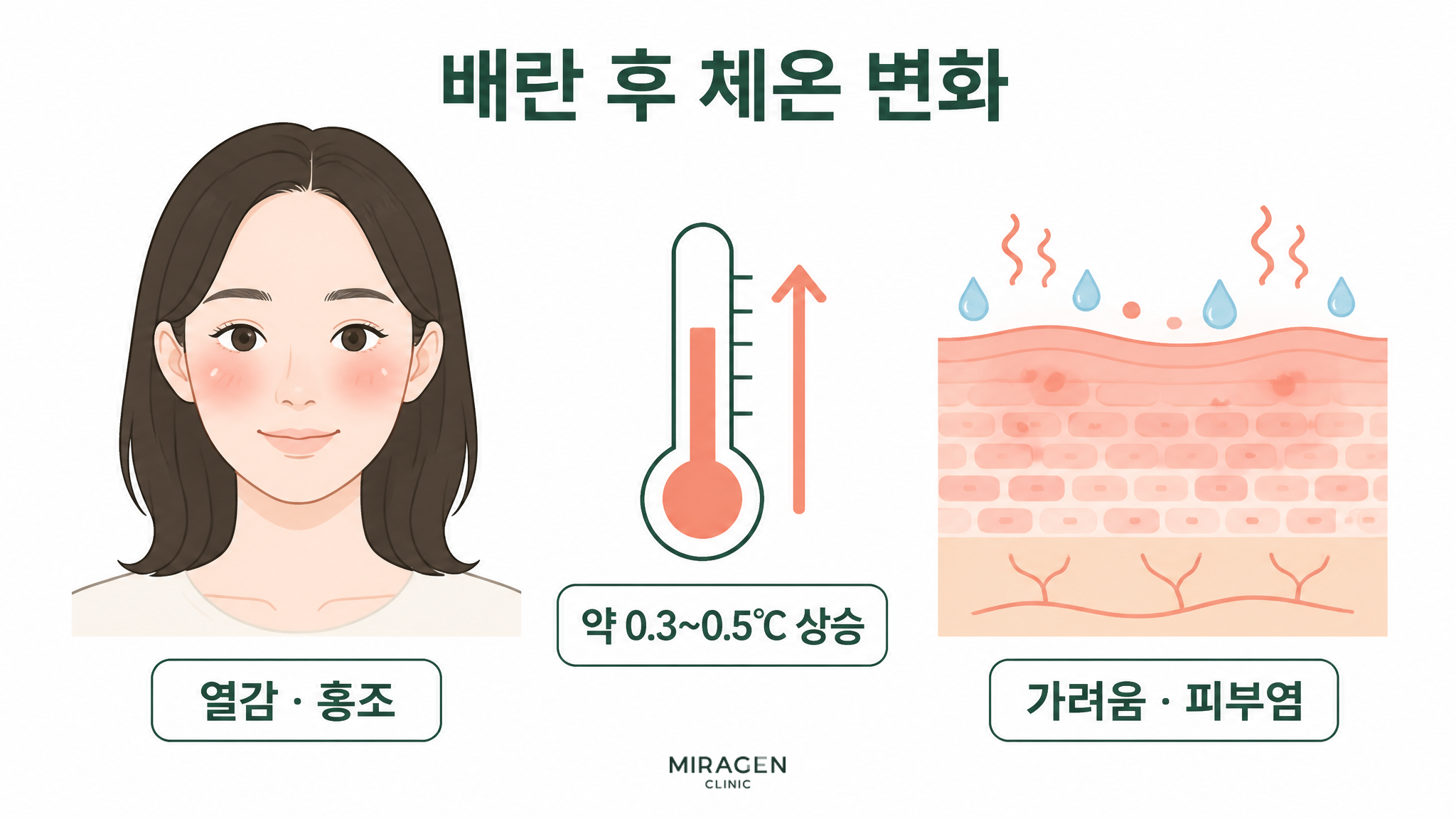 배란 후 기초체온이 약 0.3~0.5℃ 올라 열감 · 홍조와 피부염에 영향을 줄 수 있음을 나타낸 그림