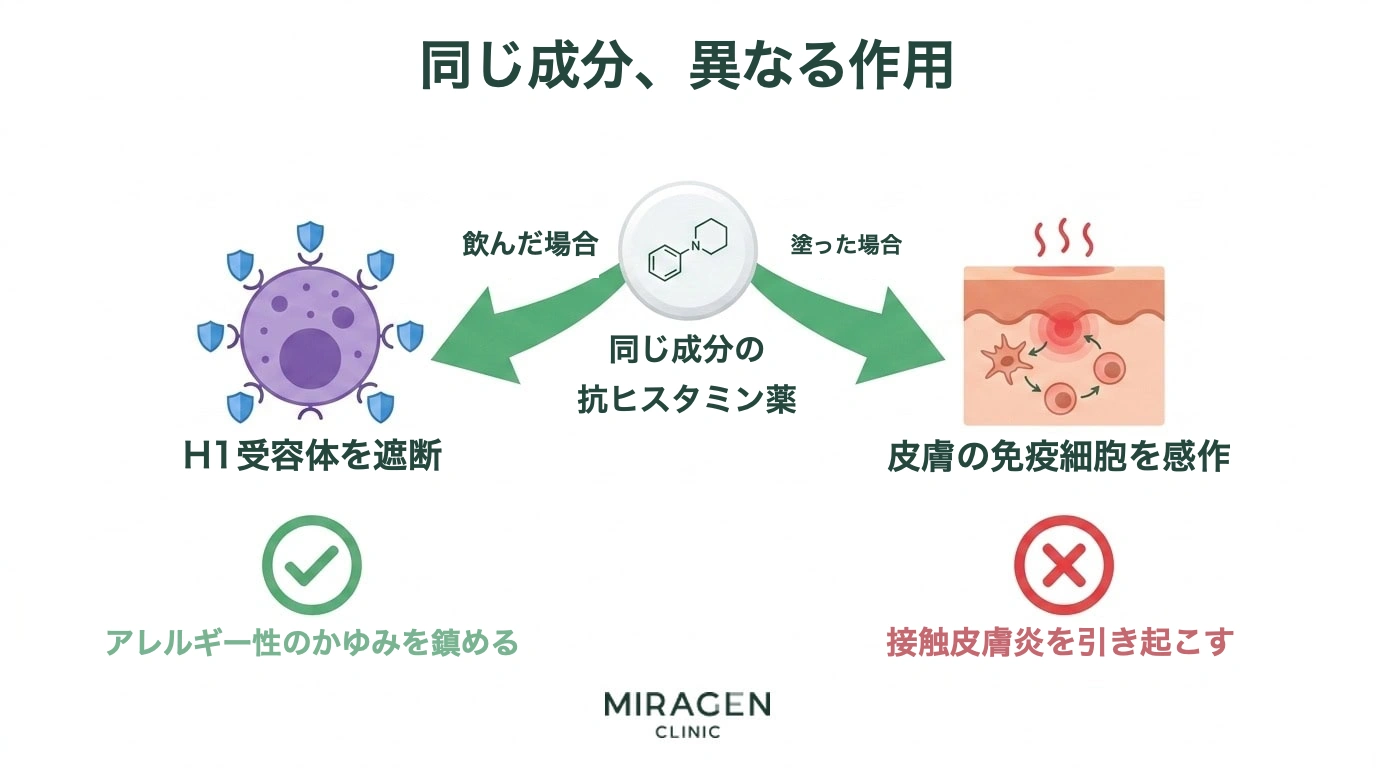 中央の同一成分の抗ヒスタミン薬(錠剤)アイコンから左右に矢印が分岐するイラスト。左は「飲む」と矢印に沿って肥満細胞H1受容体遮断アイコンと緑のチェックが示され、アレルギー性のかゆみ鎮静へ。右は「塗る」と矢印に沿って皮膚免疫細胞の感作アイコンと赤いXが示され、接触皮膚炎の誘発へ――という逆説構造を1枚で示す