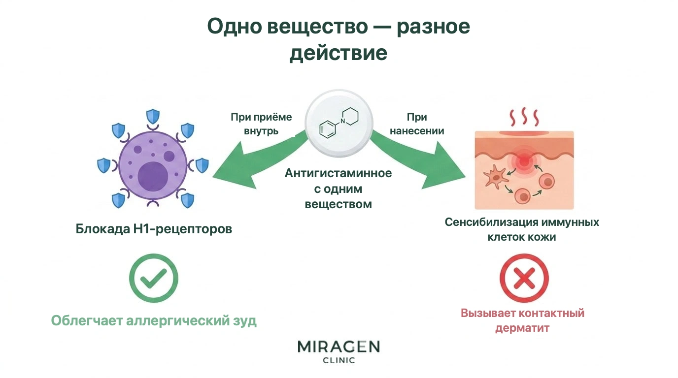 Иллюстрация показывает парадокс одного антигистаминного вещества: таблетка блокирует H1-рецепторы тучных клеток и облегчает аллергический зуд, а нанесённое на кожу вещество может сенсибилизировать иммунные клетки и вызвать контактный дерматит