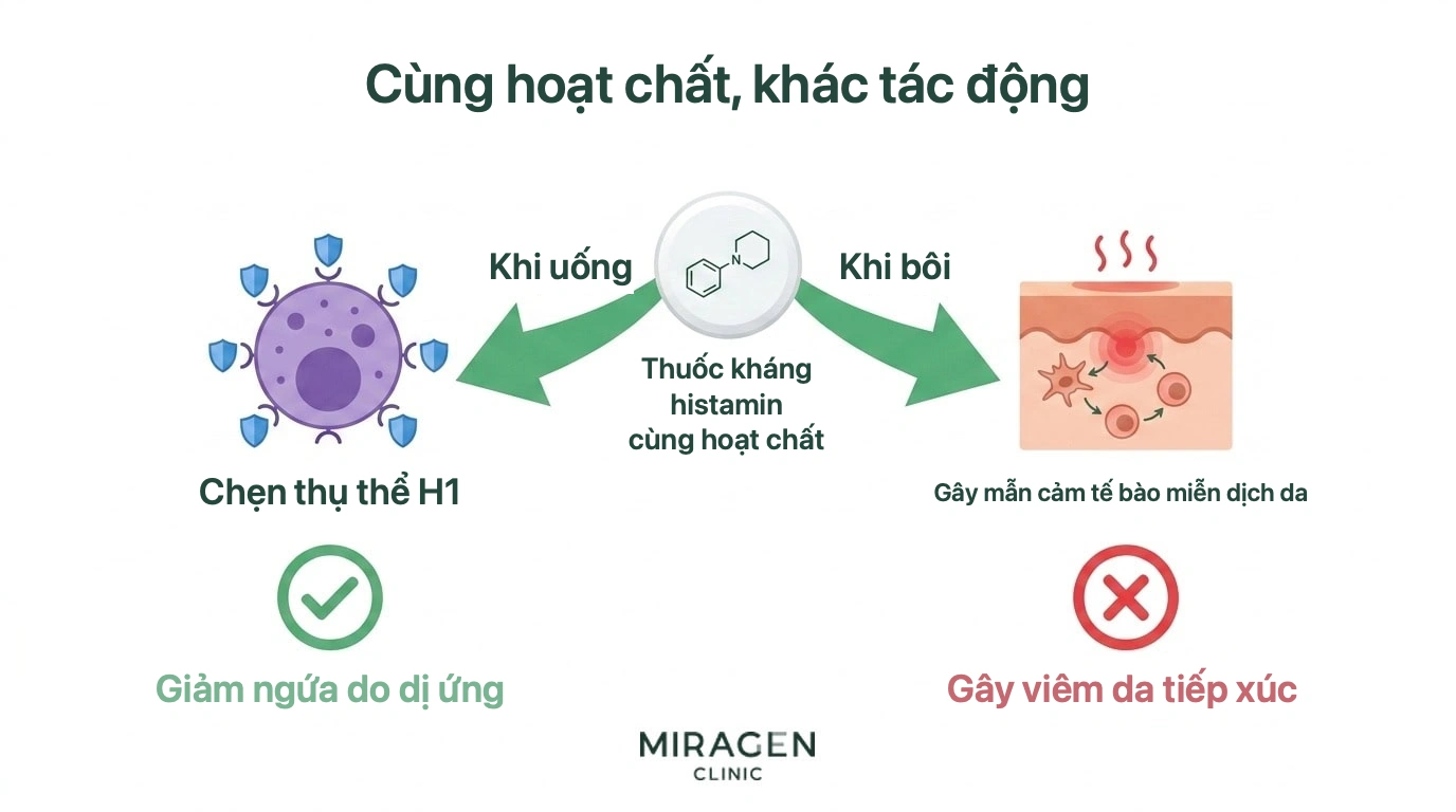 Sơ đồ cùng một hoạt chất kháng histamine đi theo hai hướng: uống thì chặn thụ thể H1 và làm dịu ngứa do dị ứng; bôi thì có thể gây mẫn cảm tế bào miễn dịch da và viêm da tiếp xúc