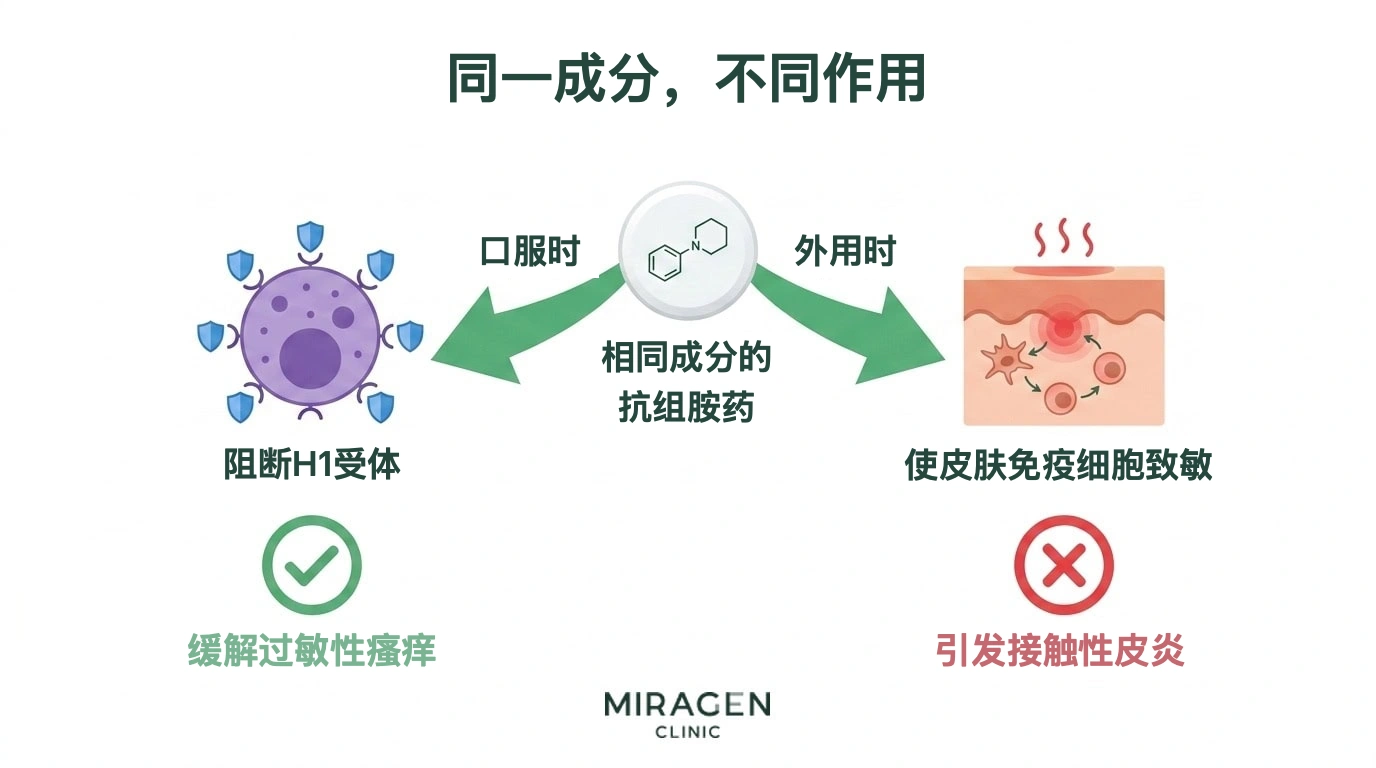 插图中间是同一种成分的抗组胺药片图标，箭头向左右分开。左侧表示口服后阻断肥大细胞 H1 受体，以绿色勾号表示过敏性瘙痒缓解；右侧表示外用后皮肤免疫细胞致敏，以红色叉号表示可能引起接触性皮炎