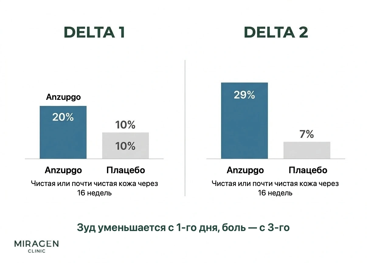 Инфографика сравнивает результаты исследований Анзупго фазы 3 DELTA 1 и DELTA 2 через 16 недель: доля пациентов с чистой кожей была в 2–4 раза выше, чем в группе плацебо, а зуд уменьшался с первого дня