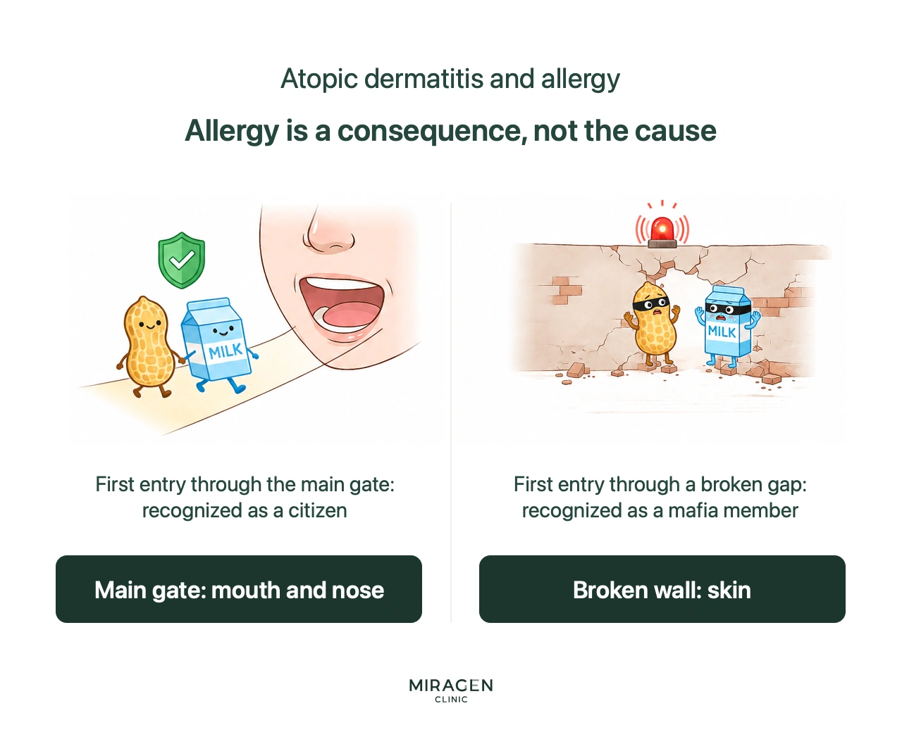 An infographic explaining the relationship between atopic dermatitis and allergies using the Citizen/Mafia analogy; it visualizes the immune principle where food entering through the mouth is recognized as a citizen, while food entering through gaps in a broken skin barrier is recognized as the Mafia.