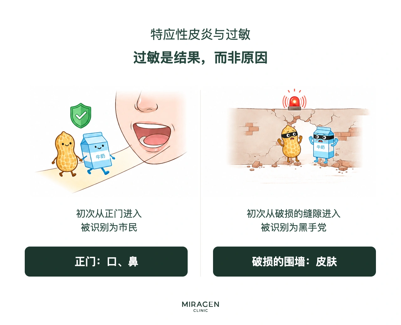 用市民和坏人作比喻的信息图：经口摄入的食物被免疫系统视作安全市民，若先从受损皮肤屏障的裂缝进入，则可能被识别为危险物质