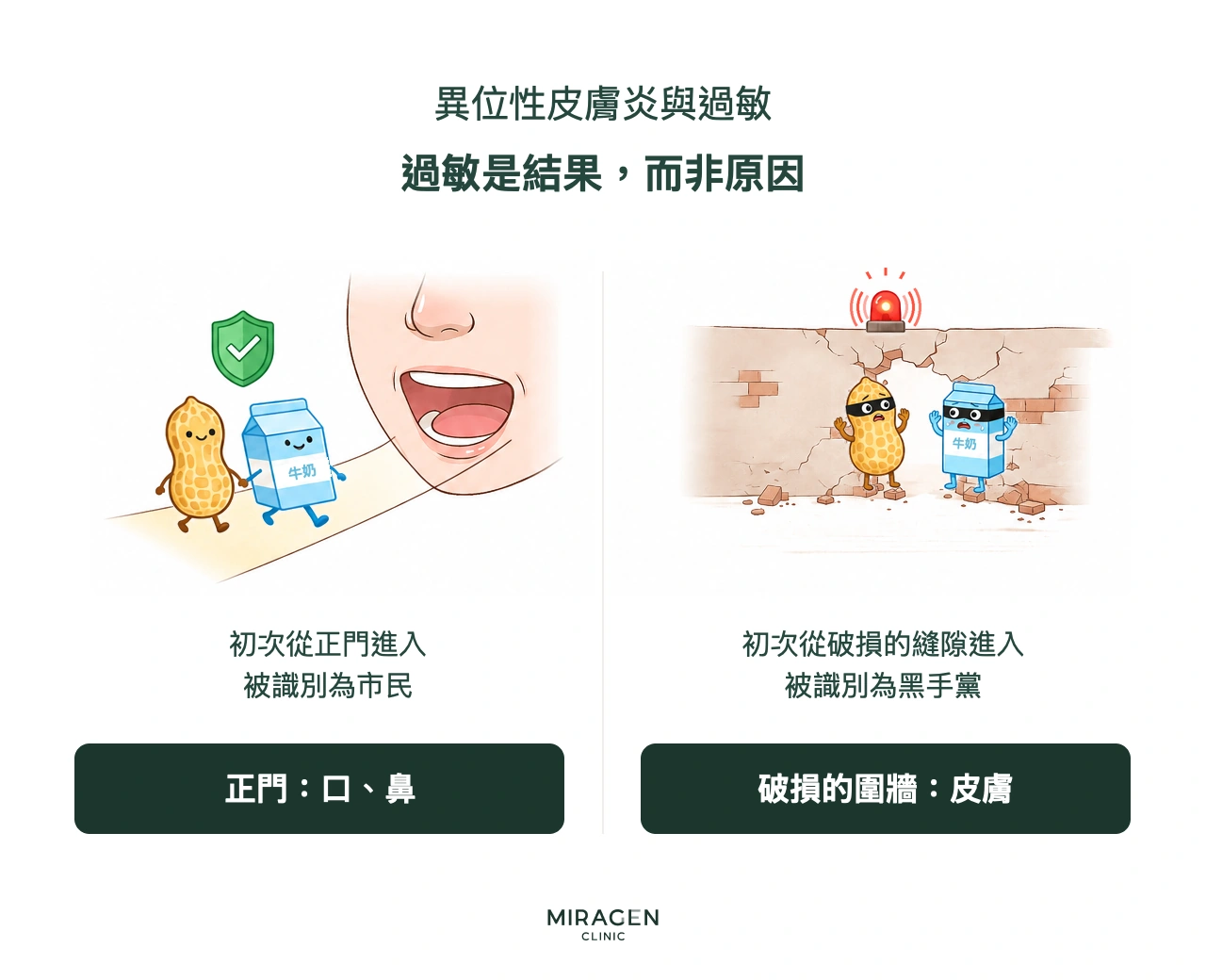 用市民和壞人作比喻的資訊圖：經口攝入的食物被免疫系統視作安全市民，若先從受損皮膚屏障的裂縫進入，則可能被識別為危險物質