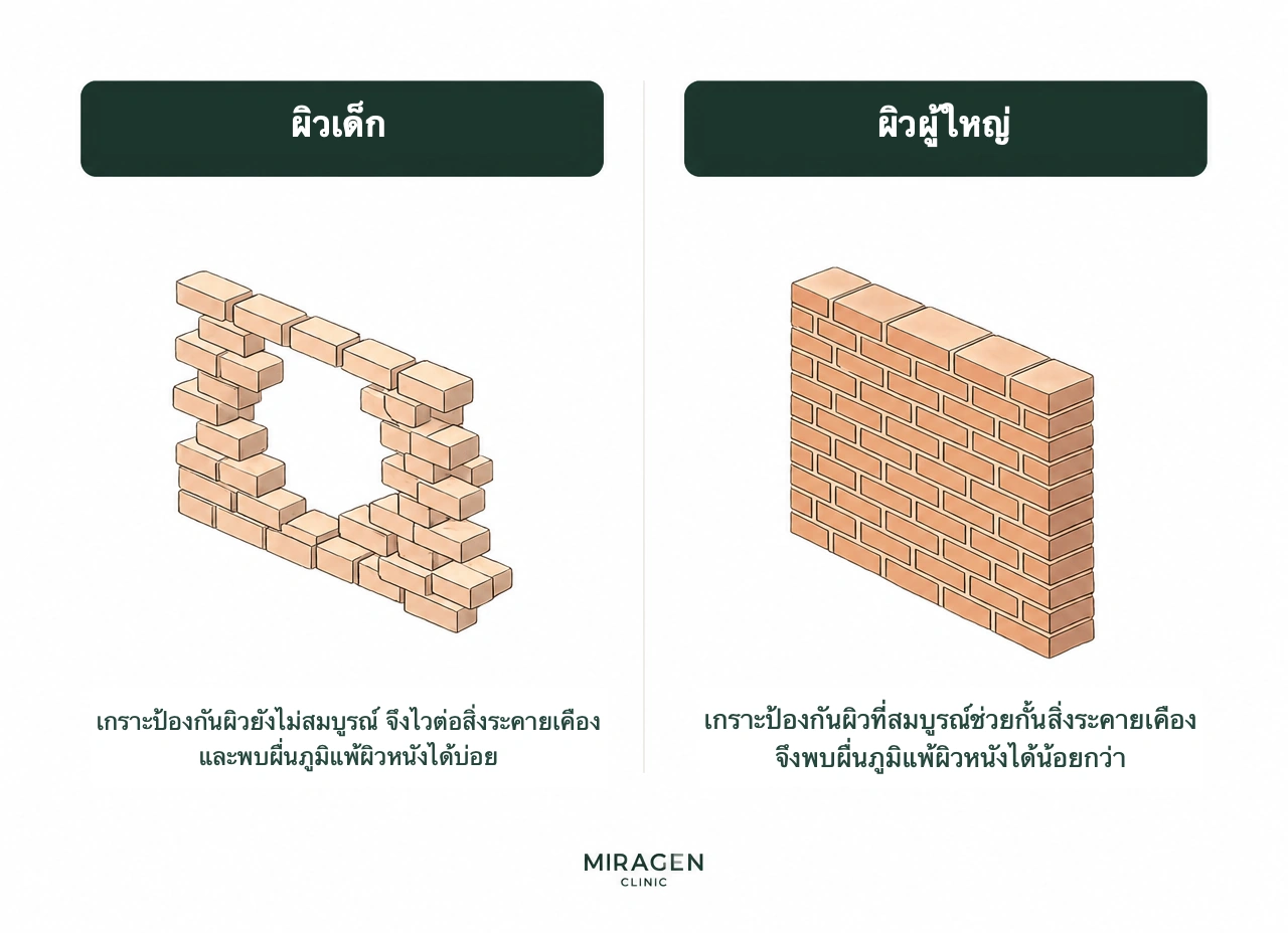 อินโฟกราฟิกกำแพงอิฐเปรียบเทียบเกราะป้องกันผิวเด็กกับผู้ใหญ่ เด็กมีเกราะที่ยังไม่สมบูรณ์จึงให้สิ่งกระตุ้นผ่านได้ง่าย ส่วนเกราะผู้ใหญ่แข็งแรงกว่า