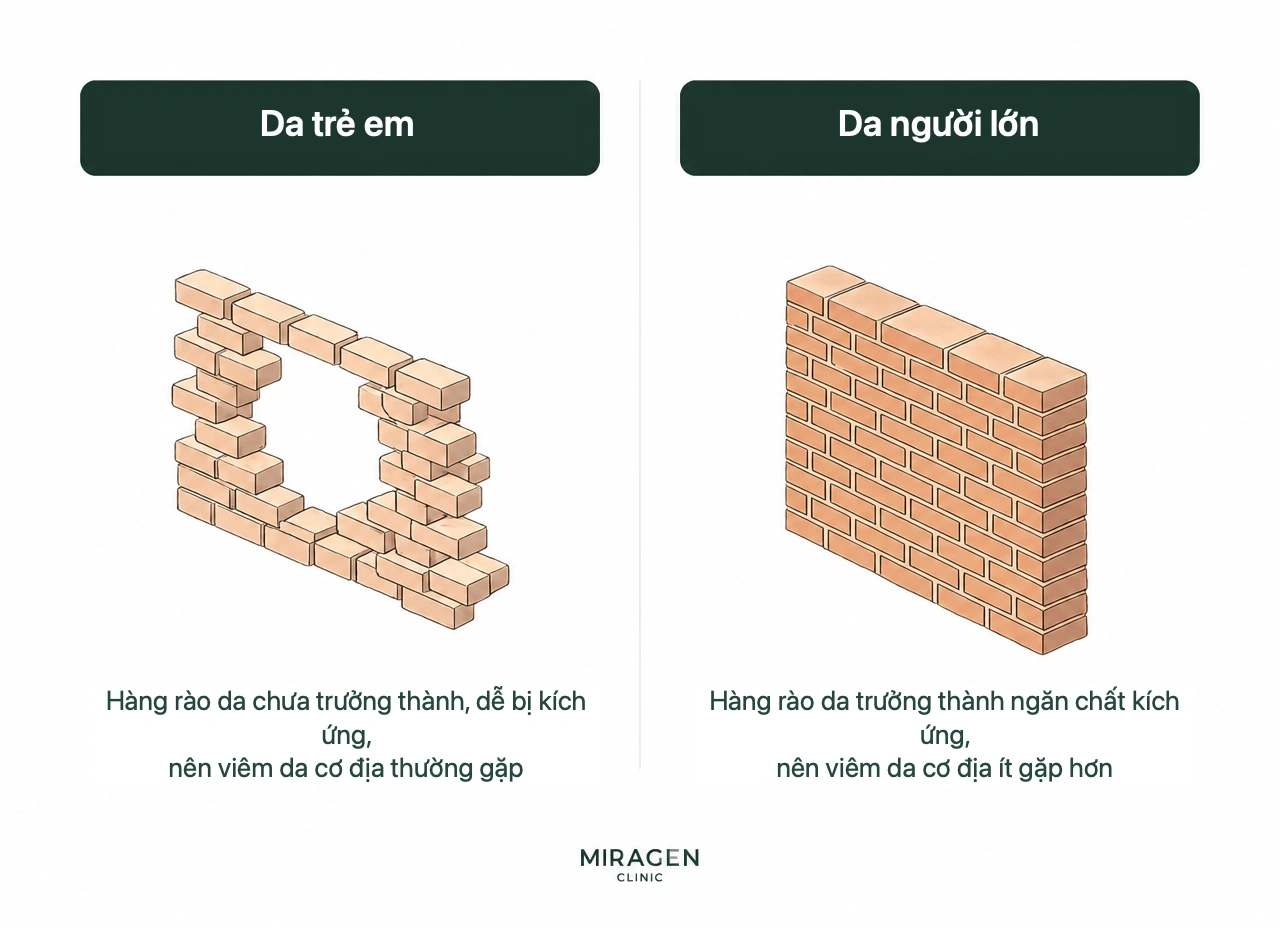 Sơ đồ so sánh hàng rào da trẻ em còn non cho kích thích đi qua với hàng rào da người lớn vững hơn