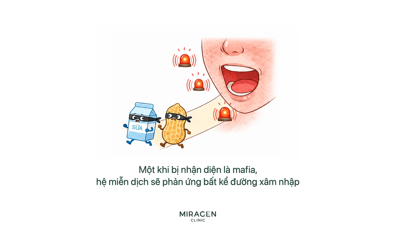 Hình sữa và lạc đã bị nhận là kẻ xâm nhập đi qua miệng nhưng vẫn kích hoạt báo động miễn dịch sau tổn thương hàng rào da