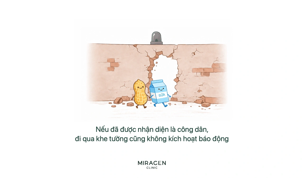 Hình sữa và lạc đã được nhận biết là công dân nên dù đi qua khe hở hàng rào da cũng không kích hoạt báo động miễn dịch trong thể nội sinh