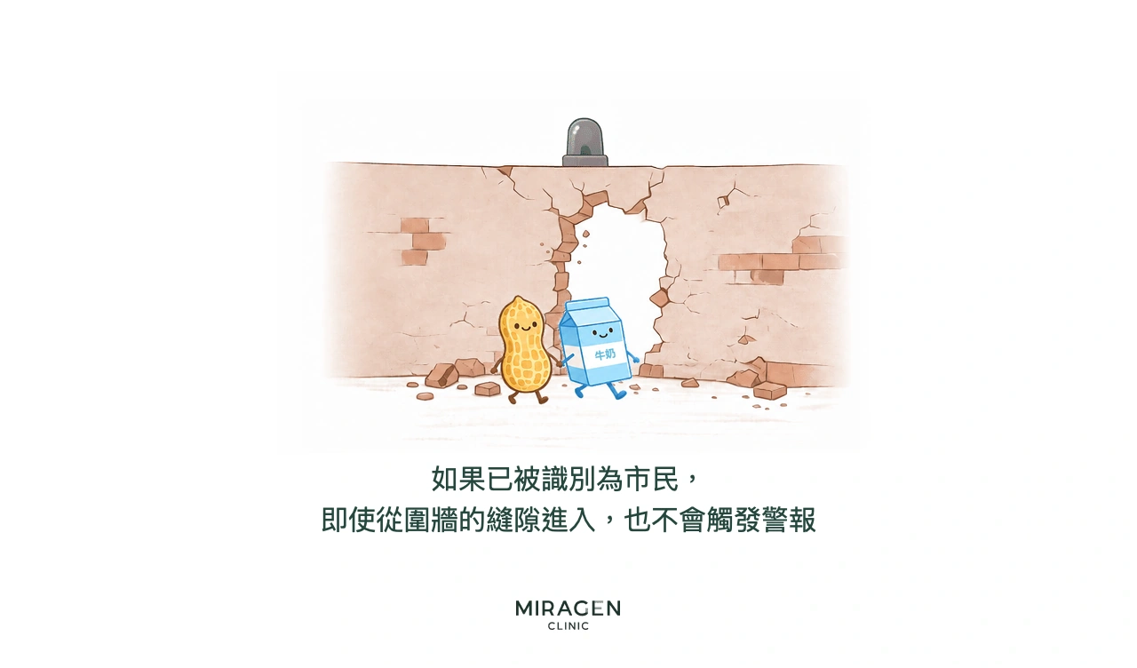 用比喻說明內源性異位性皮膚炎的插圖：牛奶和花生已被免疫系統認作安全的市民，即使從破損皮膚屏障的裂縫進入，也沒有觸發免疫警報
