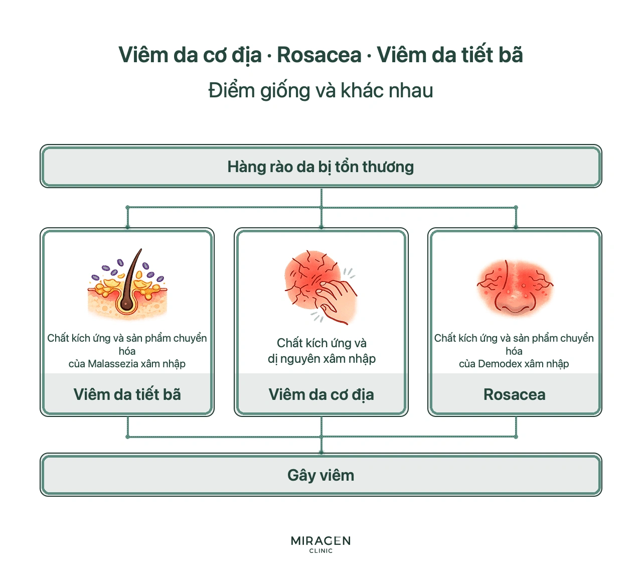 Sơ đồ ba bệnh cùng bắt đầu từ hàng rào da tổn thương, nhưng viêm da cơ địa chịu tác động từ dị nguyên, rosacea từ Demodex và viêm da tiết bã từ Malassezia