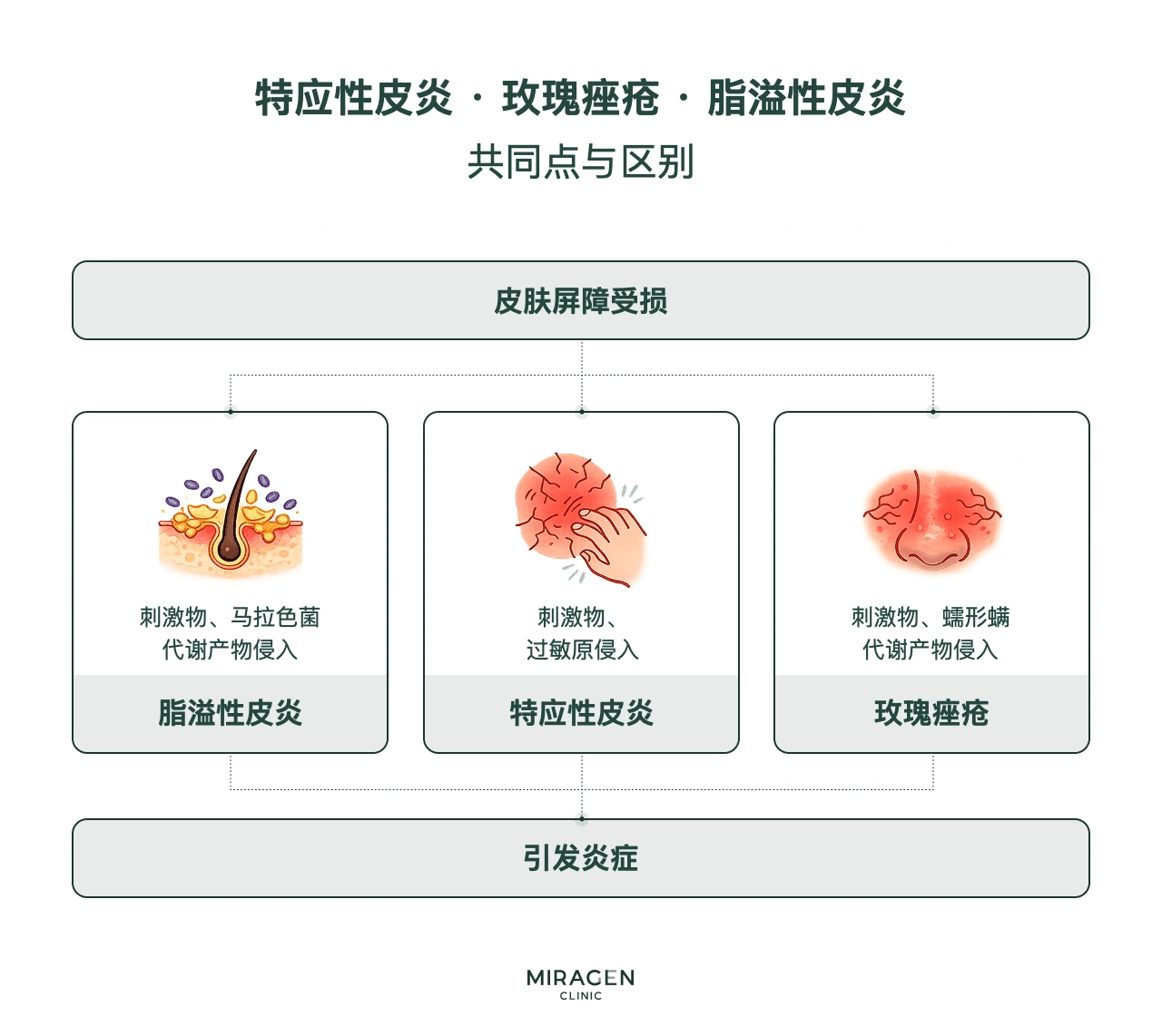 信息图：比较玫瑰痤疮、特应性皮炎和脂溢性皮炎；三者都有屏障损伤，但分别受到毛囊蠕形螨代谢产物、变应原和马拉色菌的影响