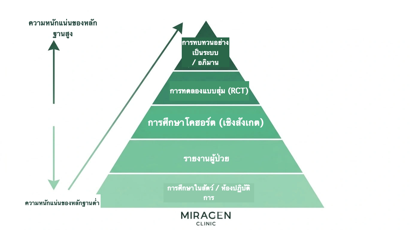 แผนภาพพีระมิดระดับหลักฐานทางการแพทย์ แสดงการศึกษาโคฮอร์ต การวิเคราะห์อภิมาน การทดลองทางคลินิก และการทบทวนวรรณกรรมอย่างเป็นระบบเพื่อเปรียบเทียบความน่าเชื่อถือ