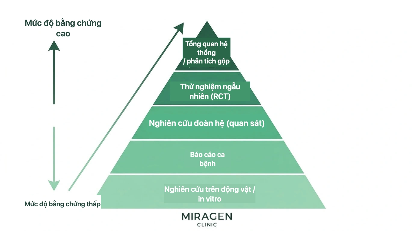 Sơ đồ kim tự tháp mức bằng chứng y học gồm nghiên cứu đoàn hệ, thử nghiệm, tổng quan hệ thống và phân tích gộp, giúp so sánh độ tin cậy