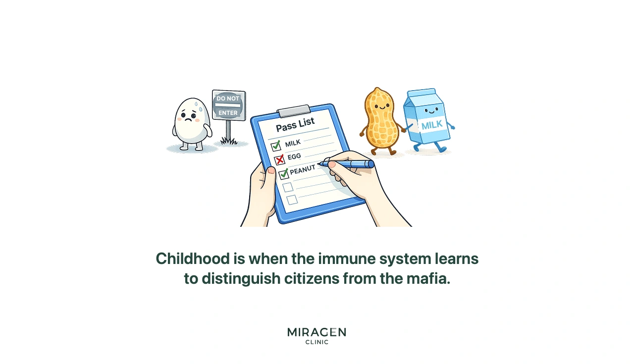 An infographic showing the formation of immune tolerance in childhood, explaining the process of letting the immune system learn that food is safe by consuming various foods early rather than unconditionally restricting foods good for atopic dermatitis.