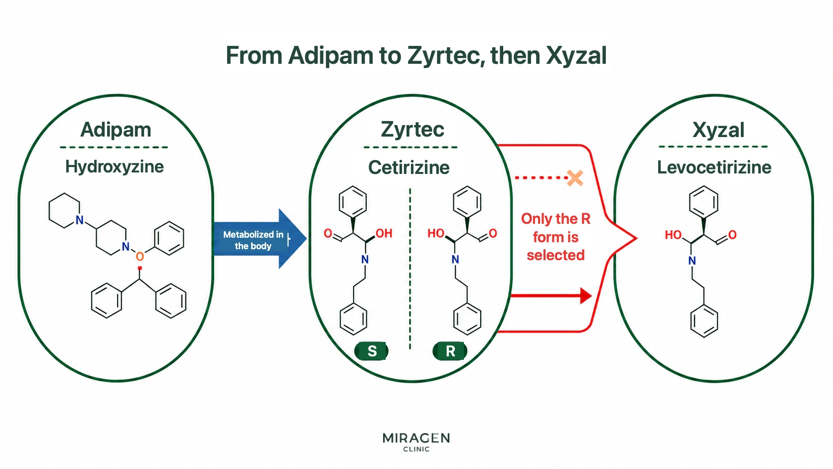 Illustration showing the relationship in which hydroxyzine in Adipam Tablets is metabolized into cetirizine in Zyrtec Tablets, and the R-isomer of cetirizine’s two mirror-image forms is levocetirizine in Xyzal Tablets