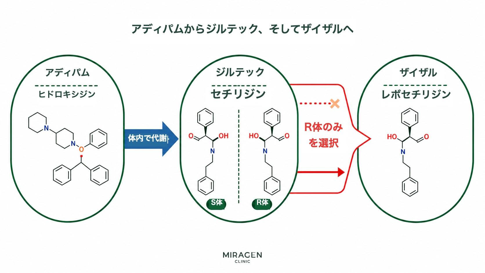 アディファム錠のヒドロキシジンがジルテック錠のセチリジンに代謝され、鏡像異性体であるS型とR型の中からR型がザイザル錠のレボセチリジンとして選択される関係を示す図