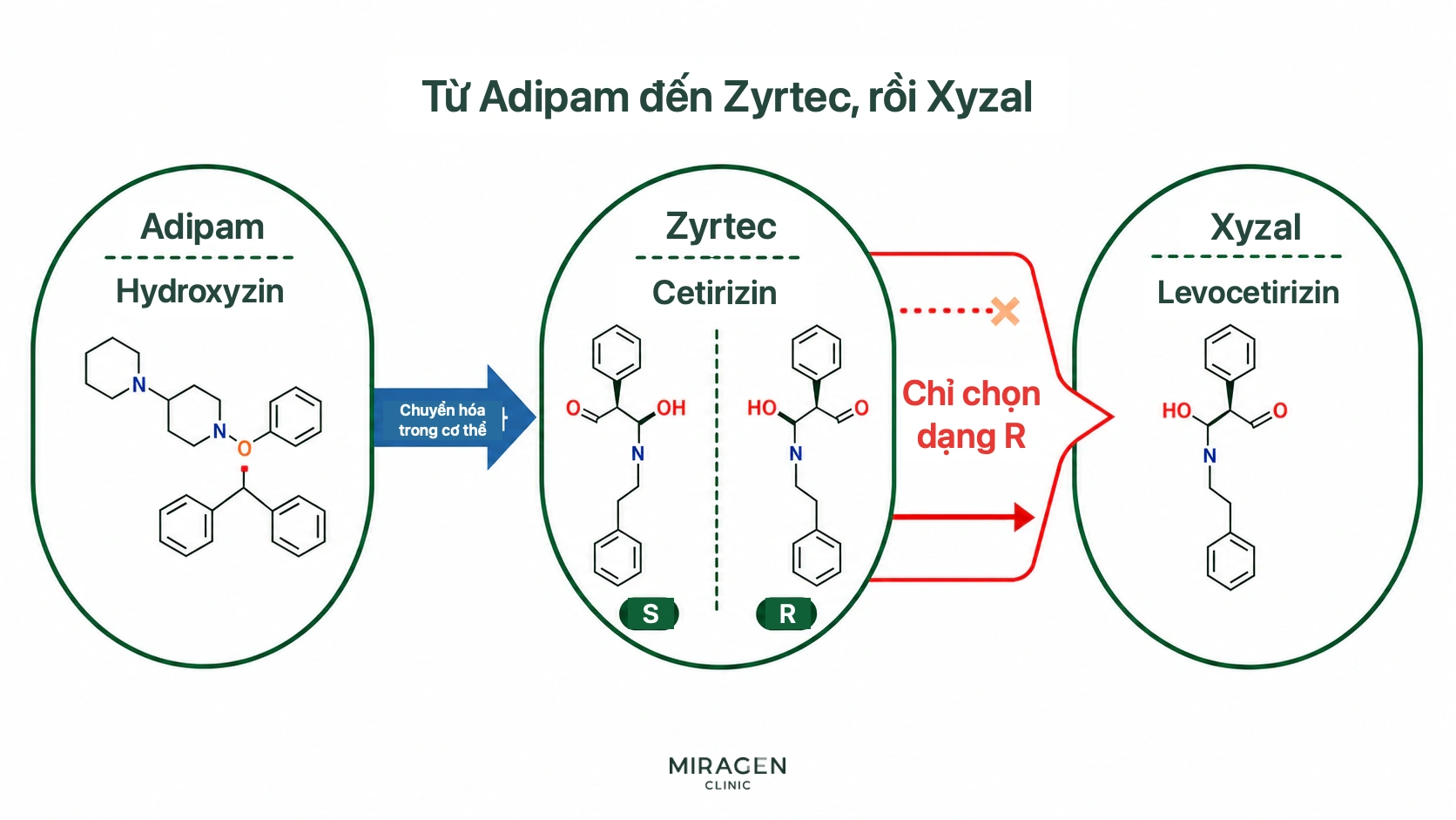 Sơ đồ cấu trúc phân tử hydroxyzine của Adipharm chuyển hóa thành cetirizine của Zyrtec, rồi chọn dạng R trong hai dạng R và S để tạo levocetirizine của Xyzal