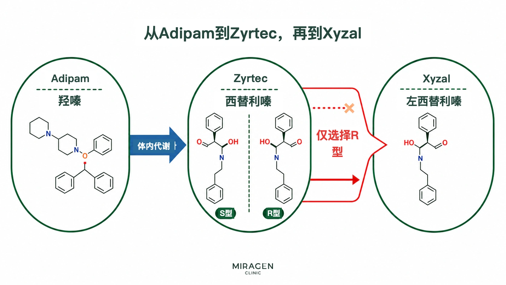 示意图：Adipam 的羟嗪代谢为 Zyrtec 的西替利嗪；在互为镜像的 S 型和 R 型中，选择 R 型作为 Xyzal 的左西替利嗪