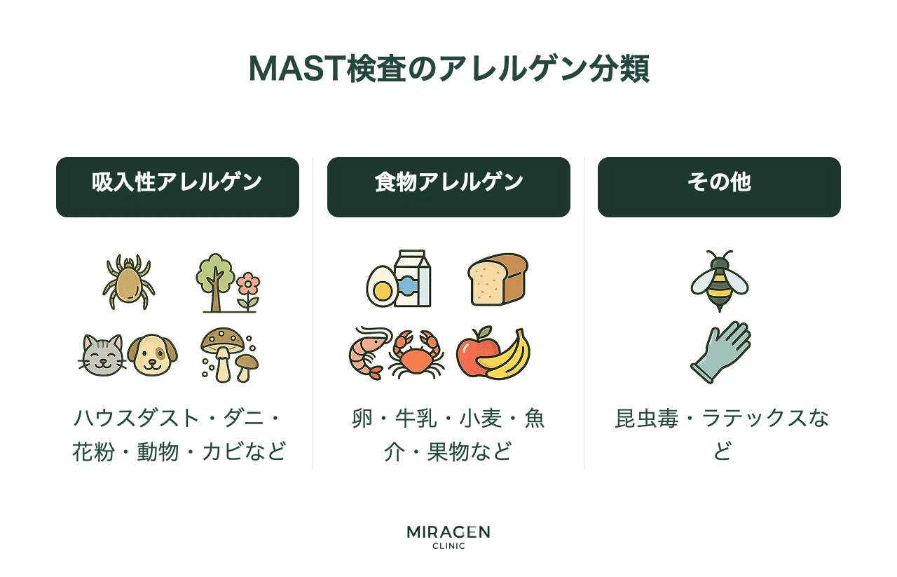 アレルギー検査結果を通じて確認できる抗原 — 吸入性・食品抗原カテゴリー別分類インフォグラフィック