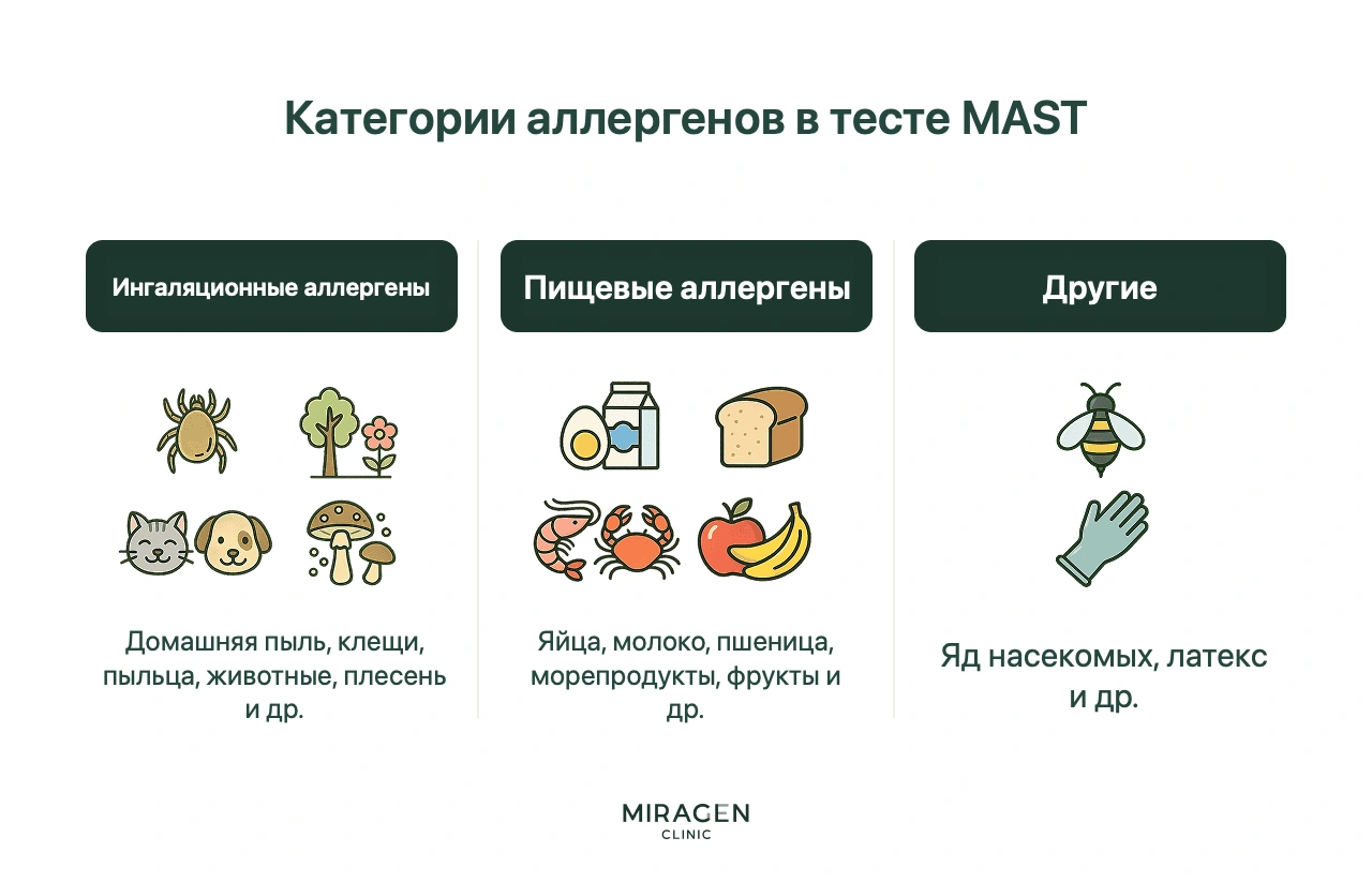 Инфографика группирует аллергены, выявляемые анализом, включая вдыхаемые и пищевые