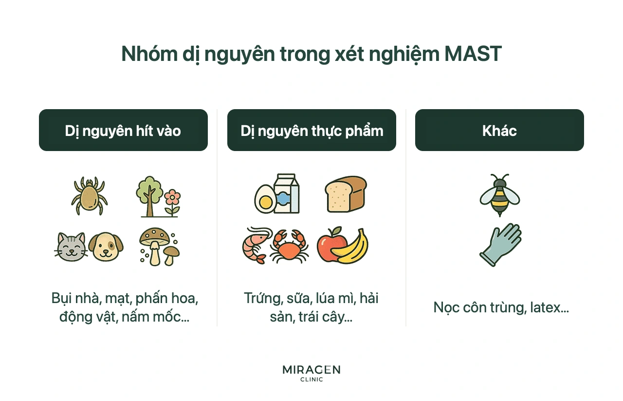 Các dị nguyên có thể nhận biết qua kết quả xét nghiệm — sơ đồ phân nhóm dị nguyên hít phải và thực phẩm