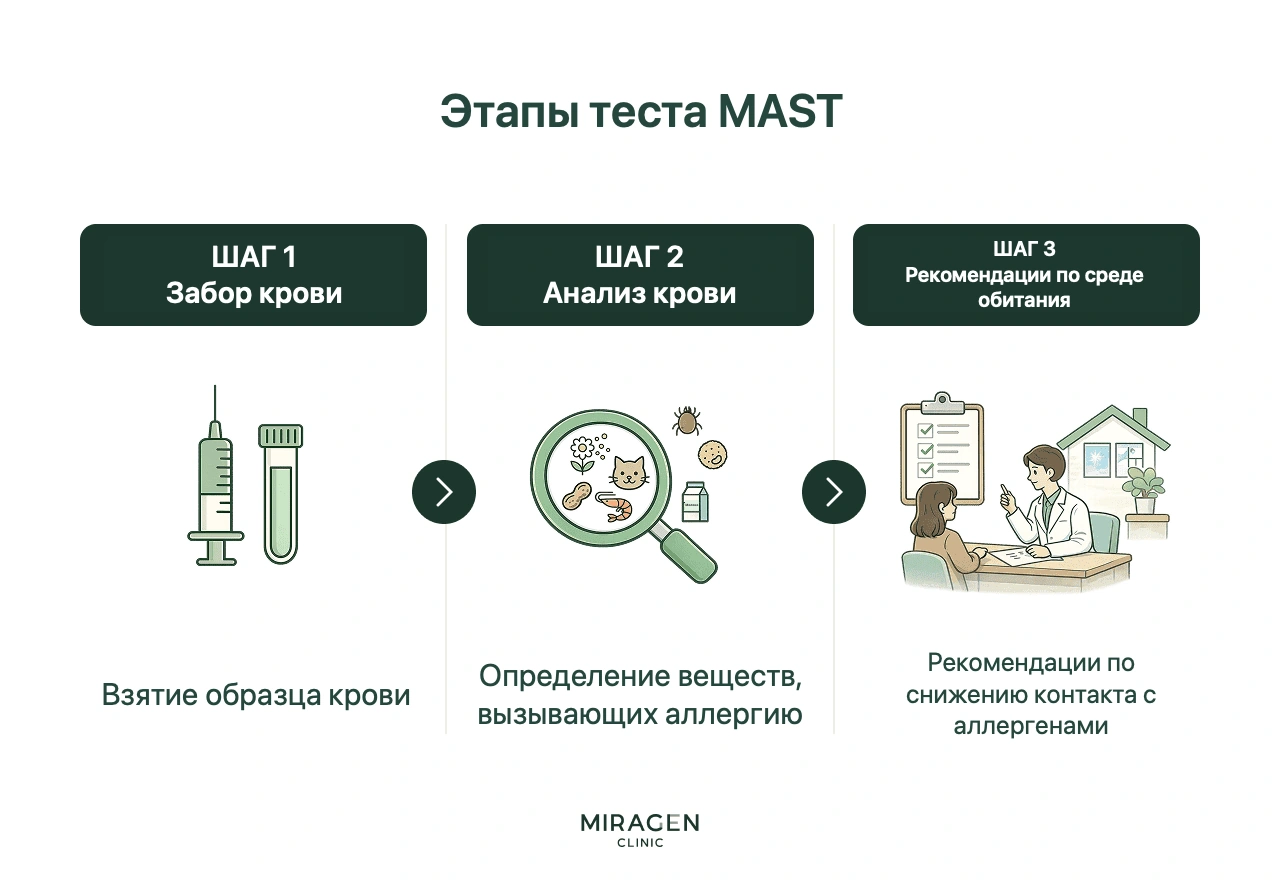 Инфографика объясняет, как воздействие аллергенов и реакция IgE становятся поводом для анализа MAST