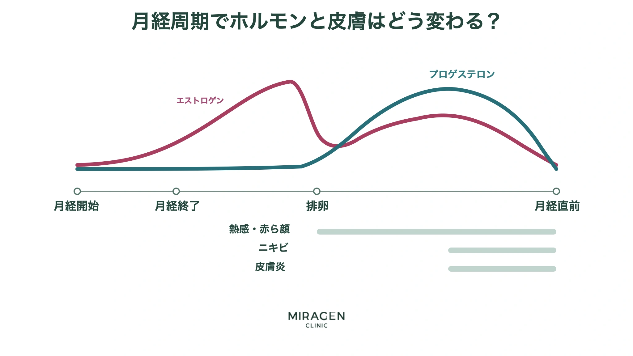 生理開始から生理終了、排卵、生理直前までのエストロゲンとプロゲステロンの変化、および熱感・赤ら顔、ニキビ、皮膚炎が悪化しやすい時期を示すグラフ