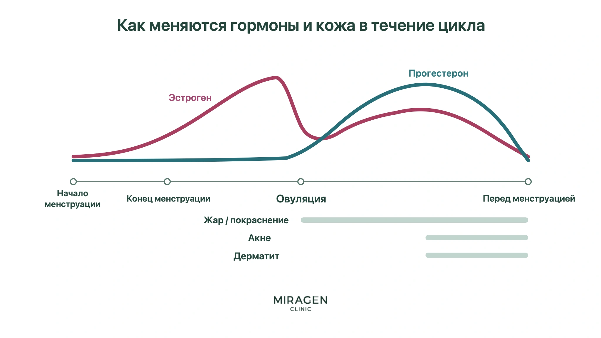График показывает изменения эстрогена и прогестерона от начала менструации через овуляцию до следующей менструации, а также периоды возможного усиления жара, покраснения, акне и дерматита