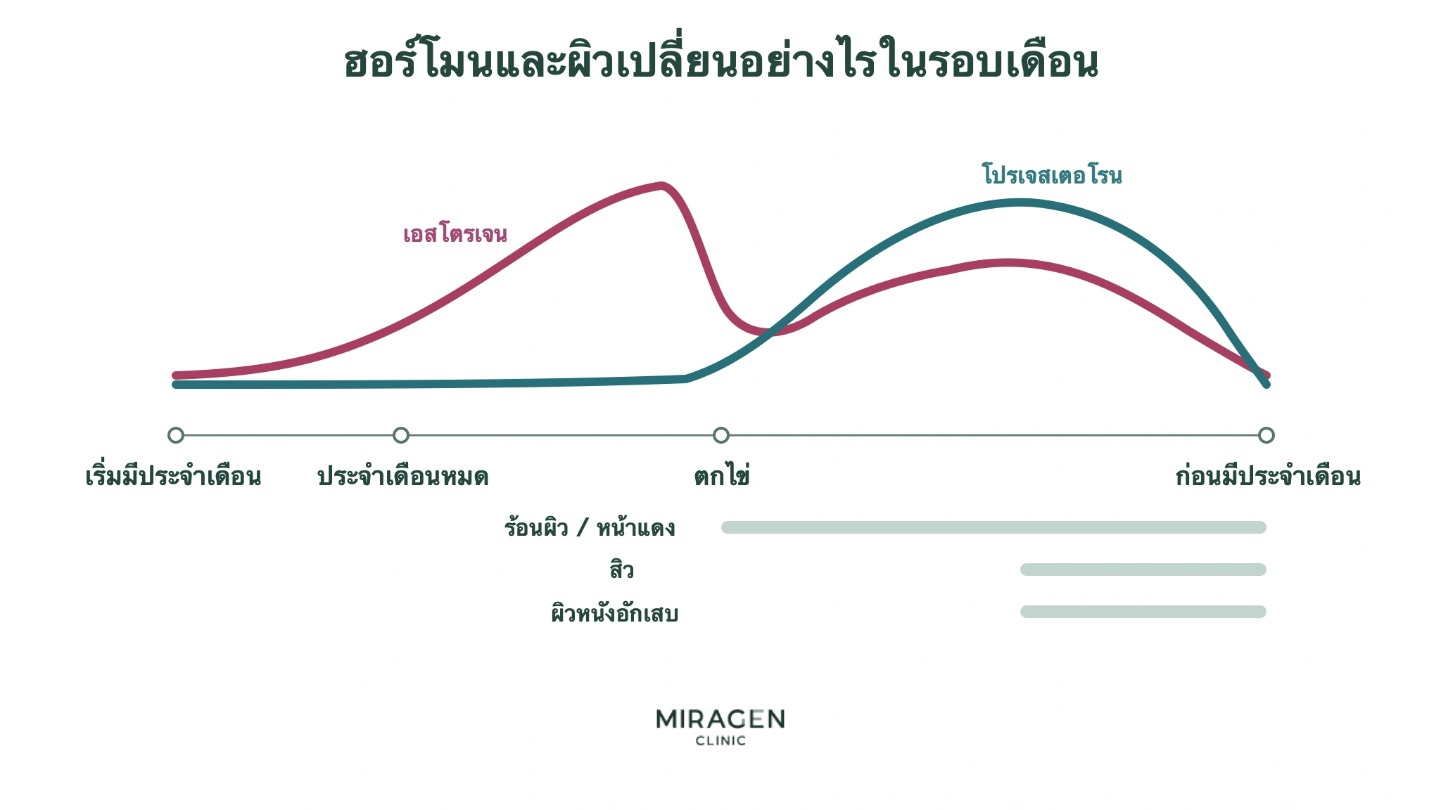 กราฟตั้งแต่เริ่มมีประจำเดือนจนหมด ช่วงตกไข่ และก่อนรอบถัดไป แสดงเอสโตรเจน โปรเจสเตอโรน และช่วงที่อาจมีร้อนผิว หน้าแดง สิว หรือผิวหนังอักเสบรุนแรงขึ้น