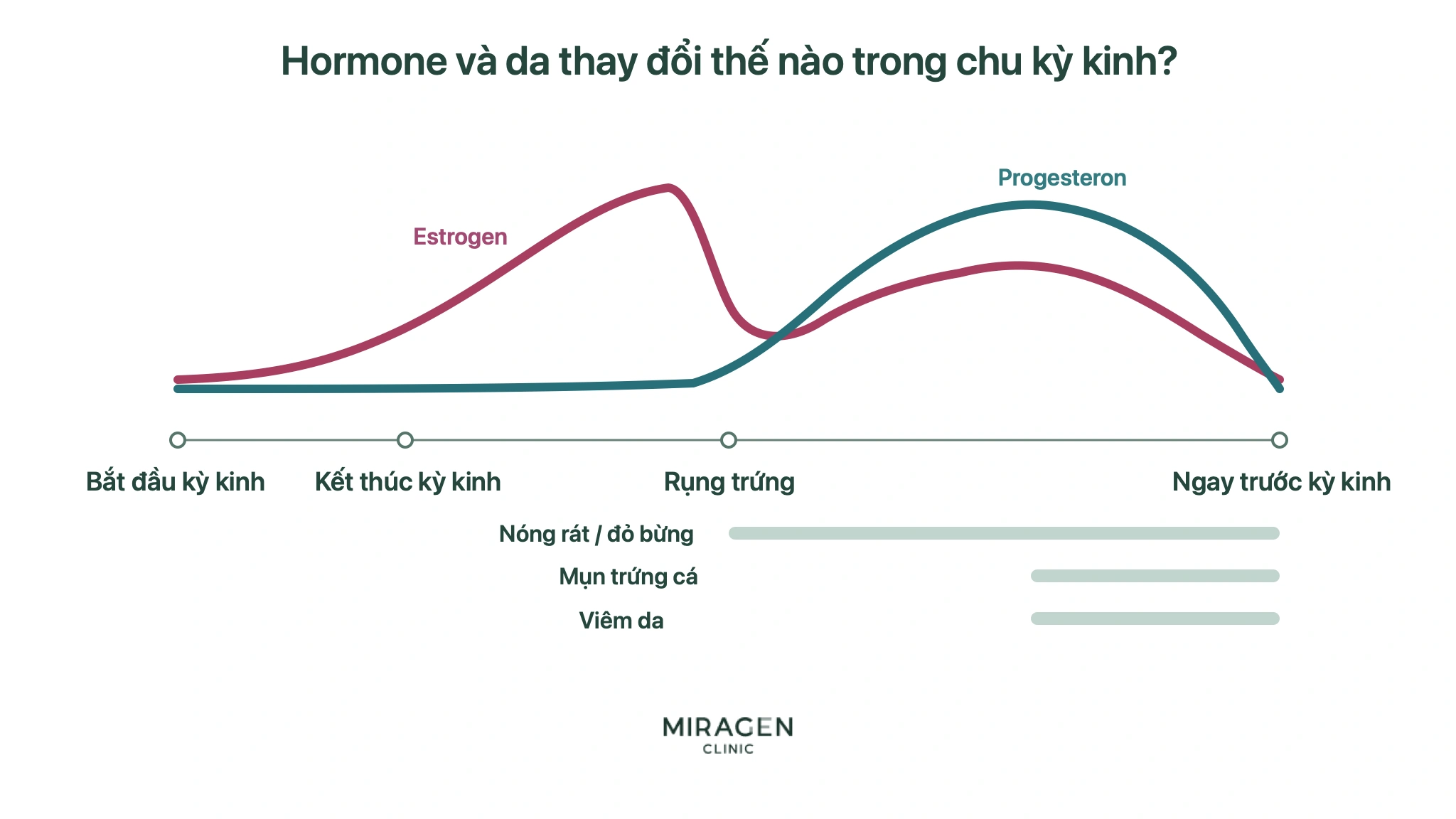 Biểu đồ biến động estrogen và progesterone từ lúc bắt đầu kinh, hết kinh, rụng trứng đến sát kỳ kinh, cùng các giai đoạn có thể tăng cảm giác nóng, đỏ bừng mặt, mụn và viêm da