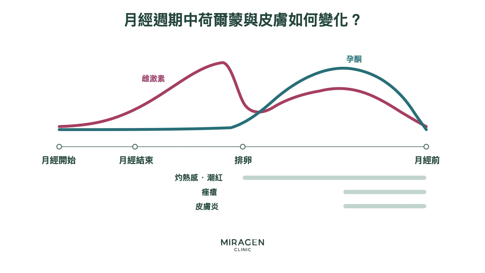 從月經開始、結束、排卵到下次月經前的圖表,顯示雌激素與黃體素的變化,以及熱感、潮紅、痤瘡和皮膚炎可能加重的時間