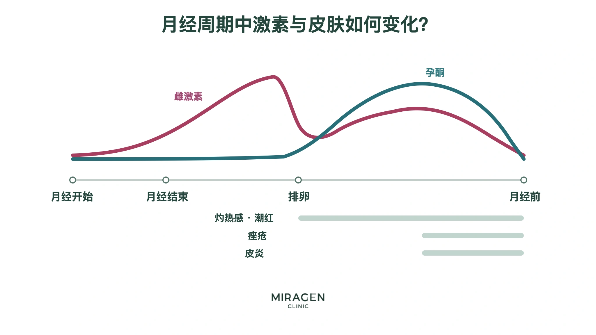 从月经开始、结束、排卵到下次月经前的图表，显示雌激素与孕激素的变化，以及热感、潮红、痤疮和皮炎可能加重的时间
